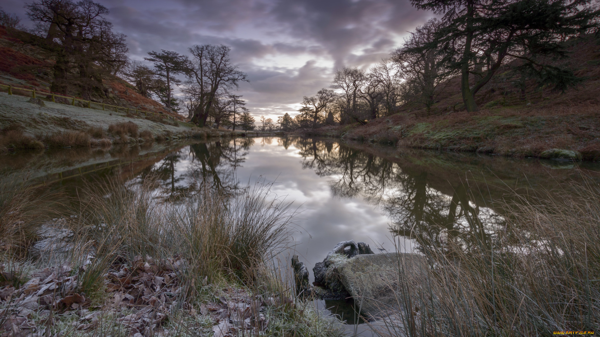 природа, реки, озера, река, лес