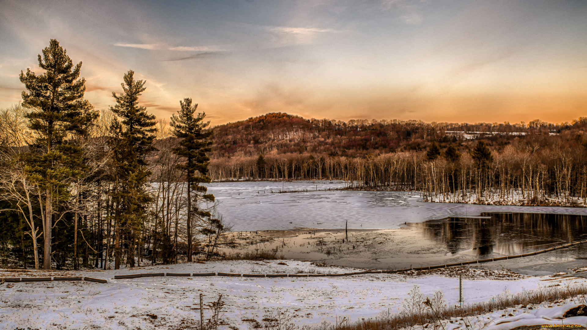 природа, реки, озера, река, лес
