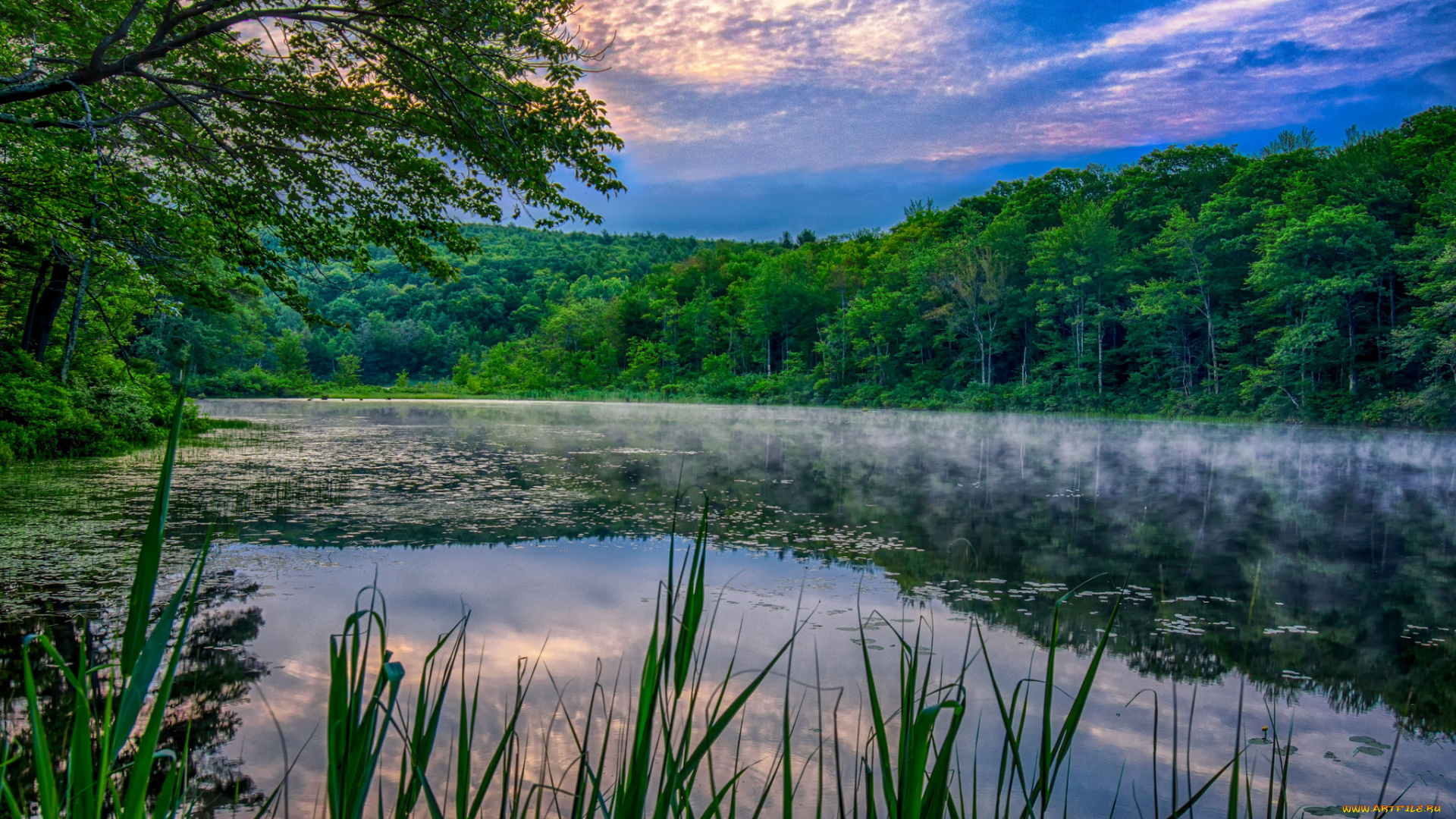 природа, реки, озера, река, лес