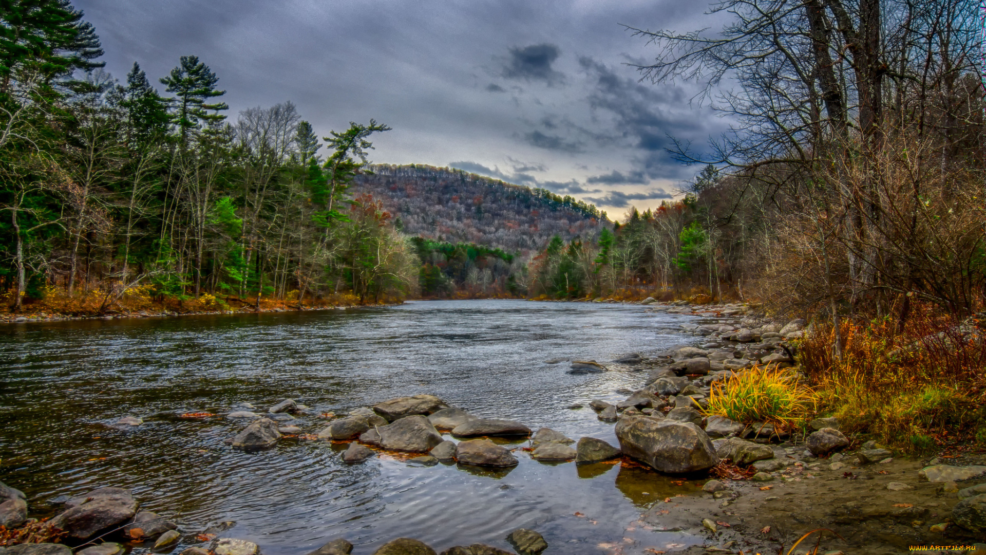 природа, реки, озера, река, лес