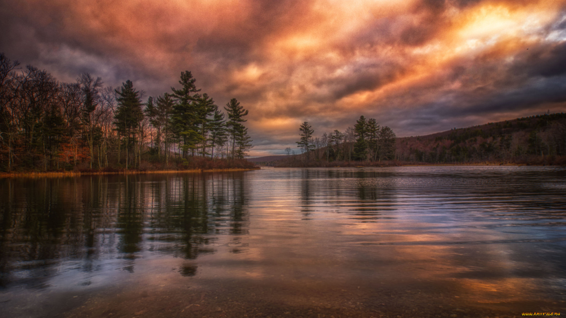 природа, реки, озера, река, лес