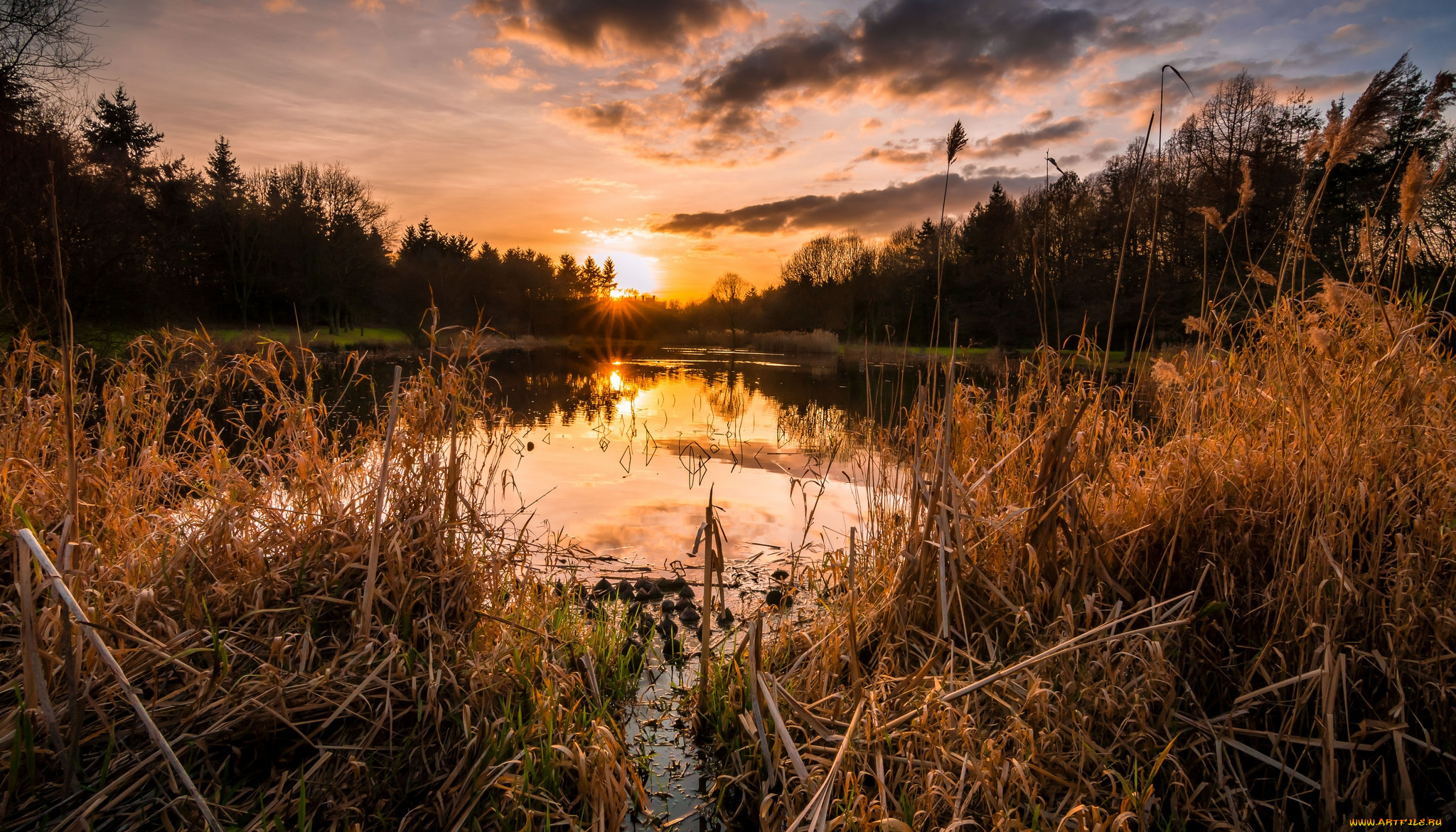 природа, реки, озера, река, лес