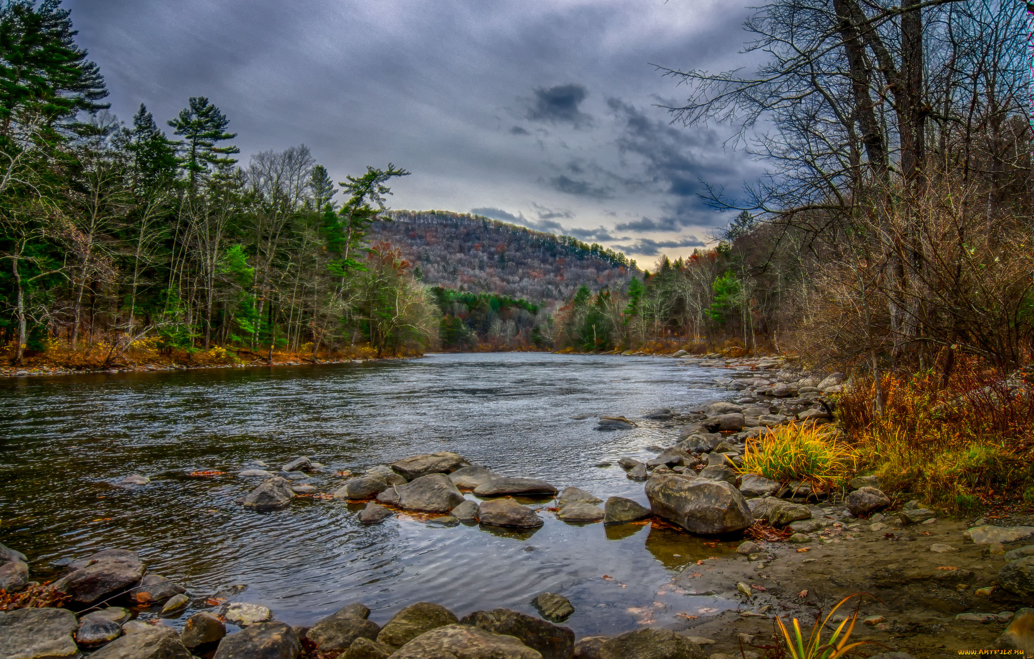 природа, реки, озера, река, лес