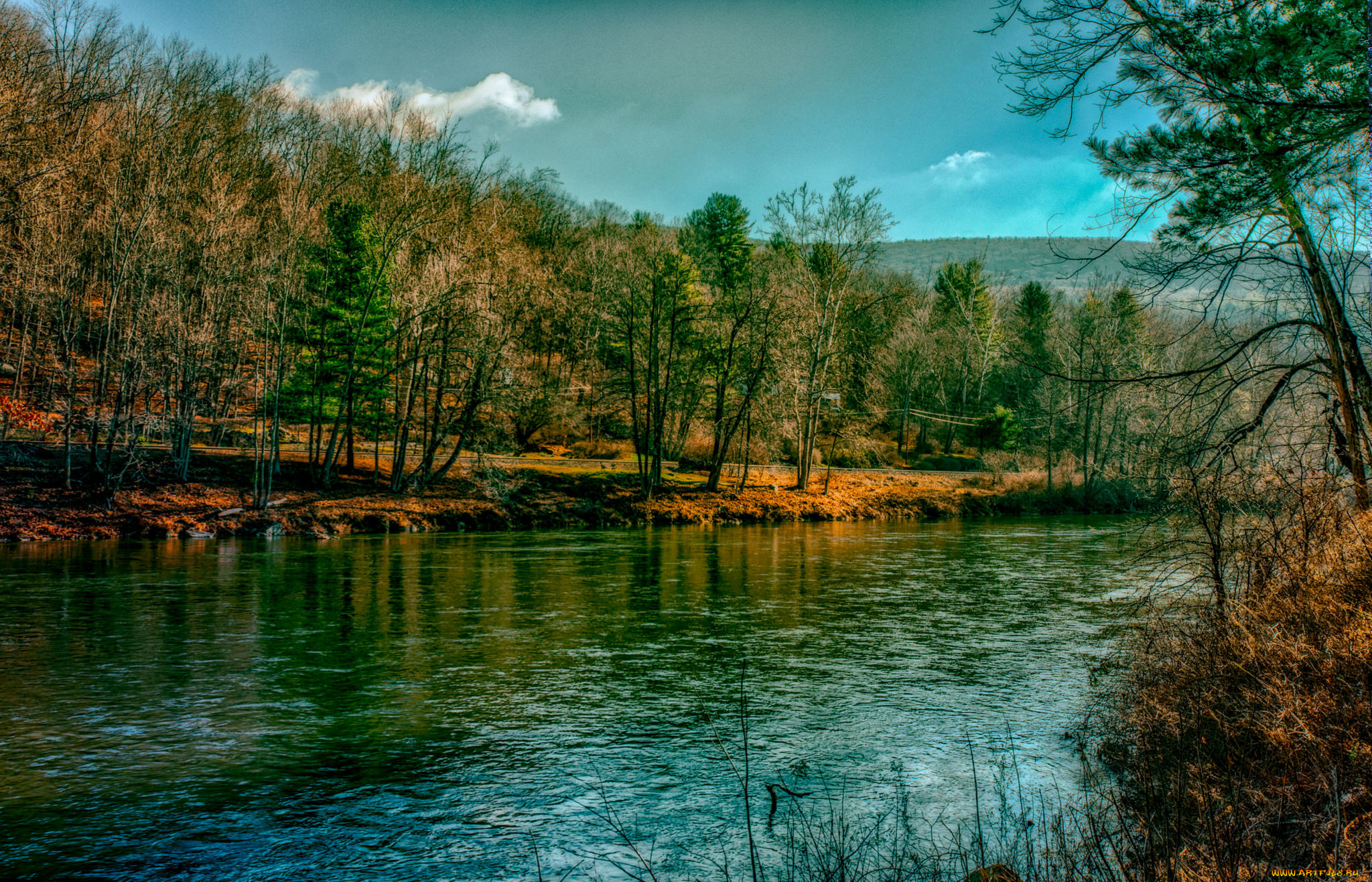природа, реки, озера, река, лес