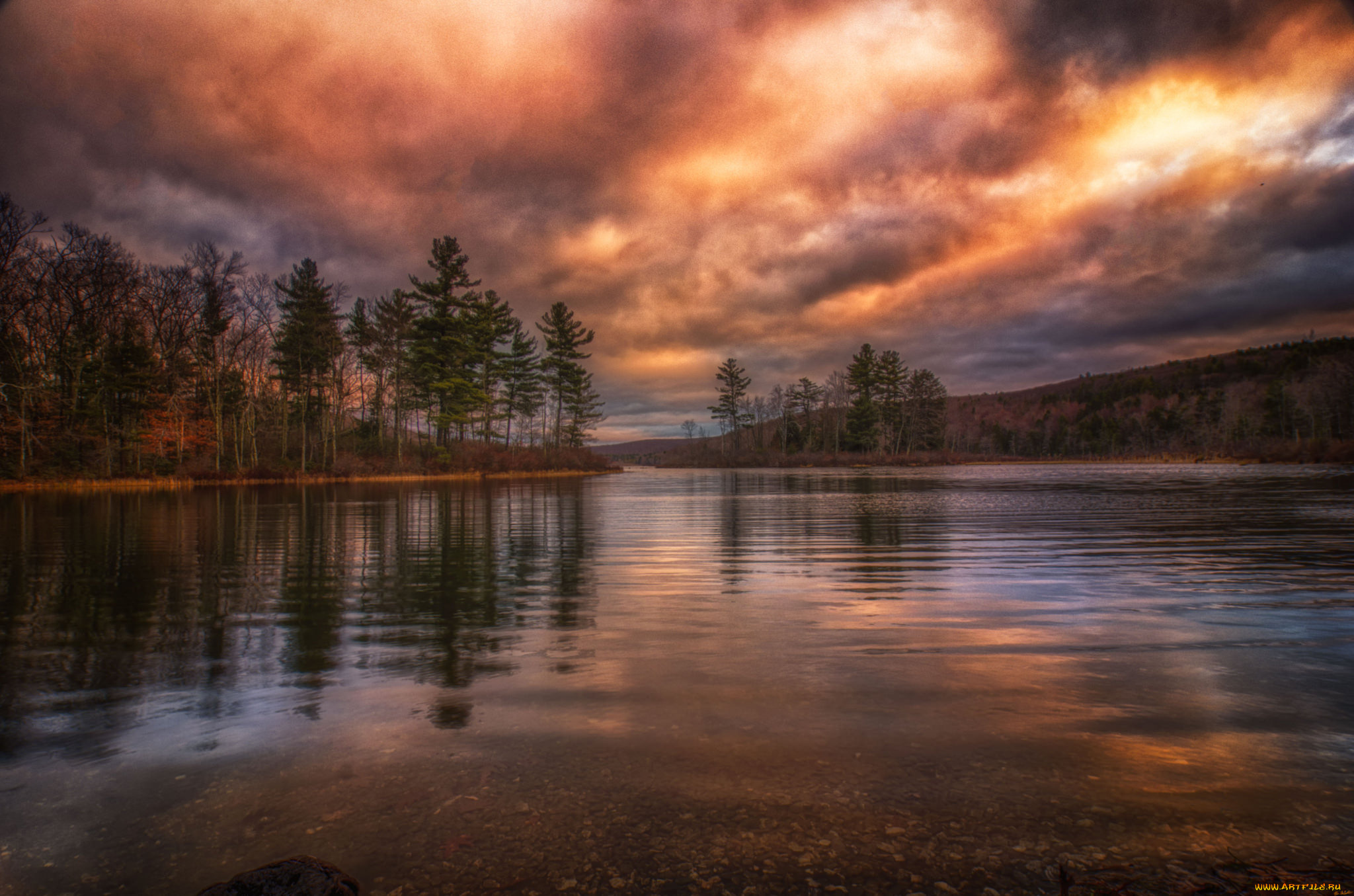 природа, реки, озера, река, лес