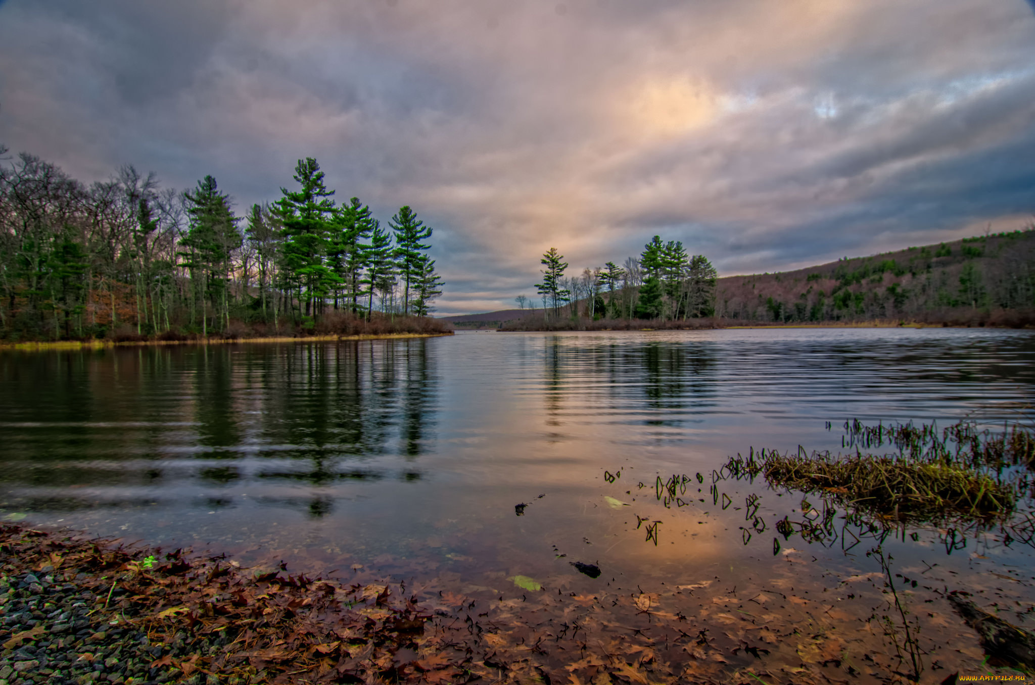 природа, реки, озера, лес, река