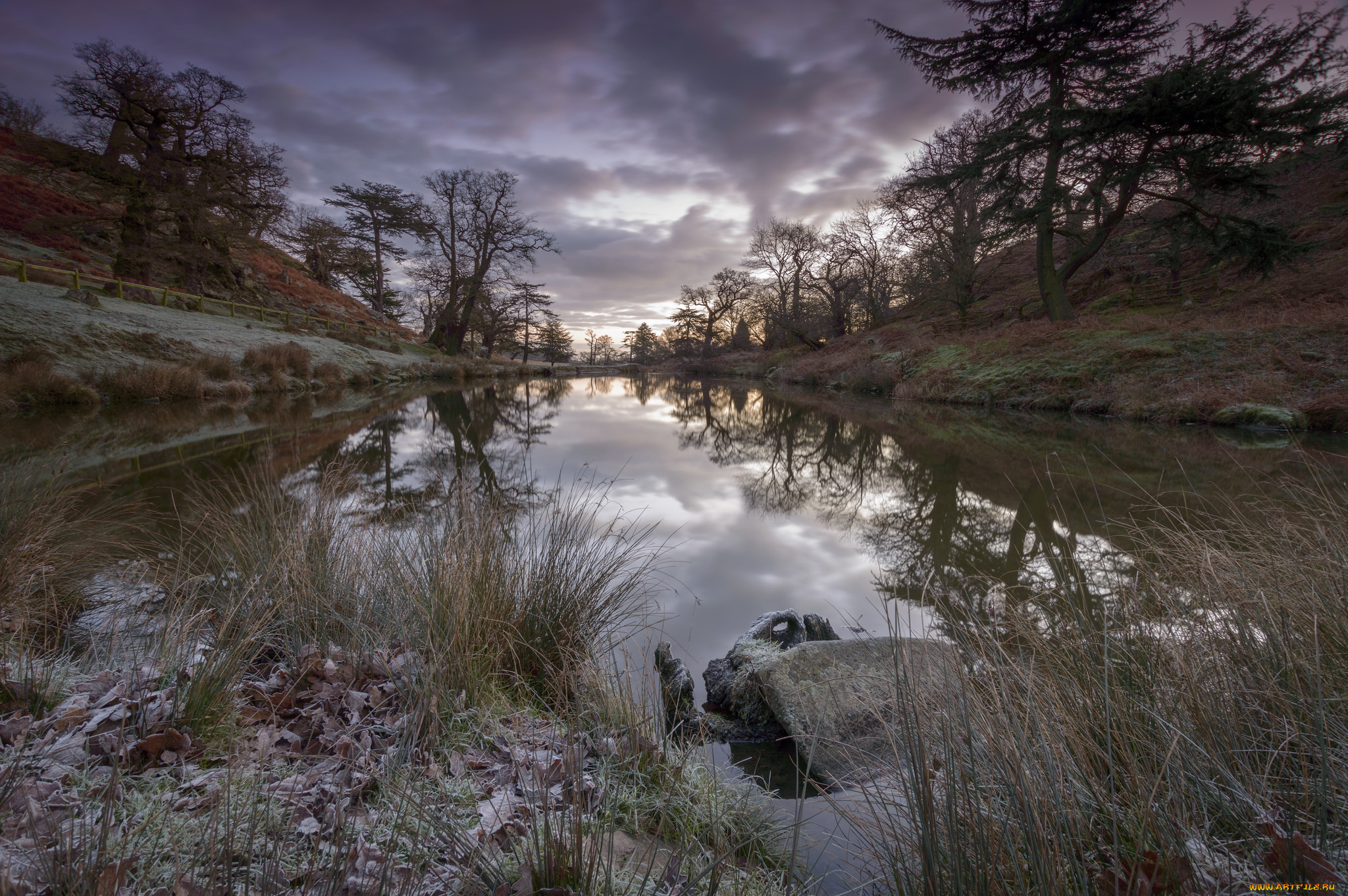 природа, реки, озера, река, лес