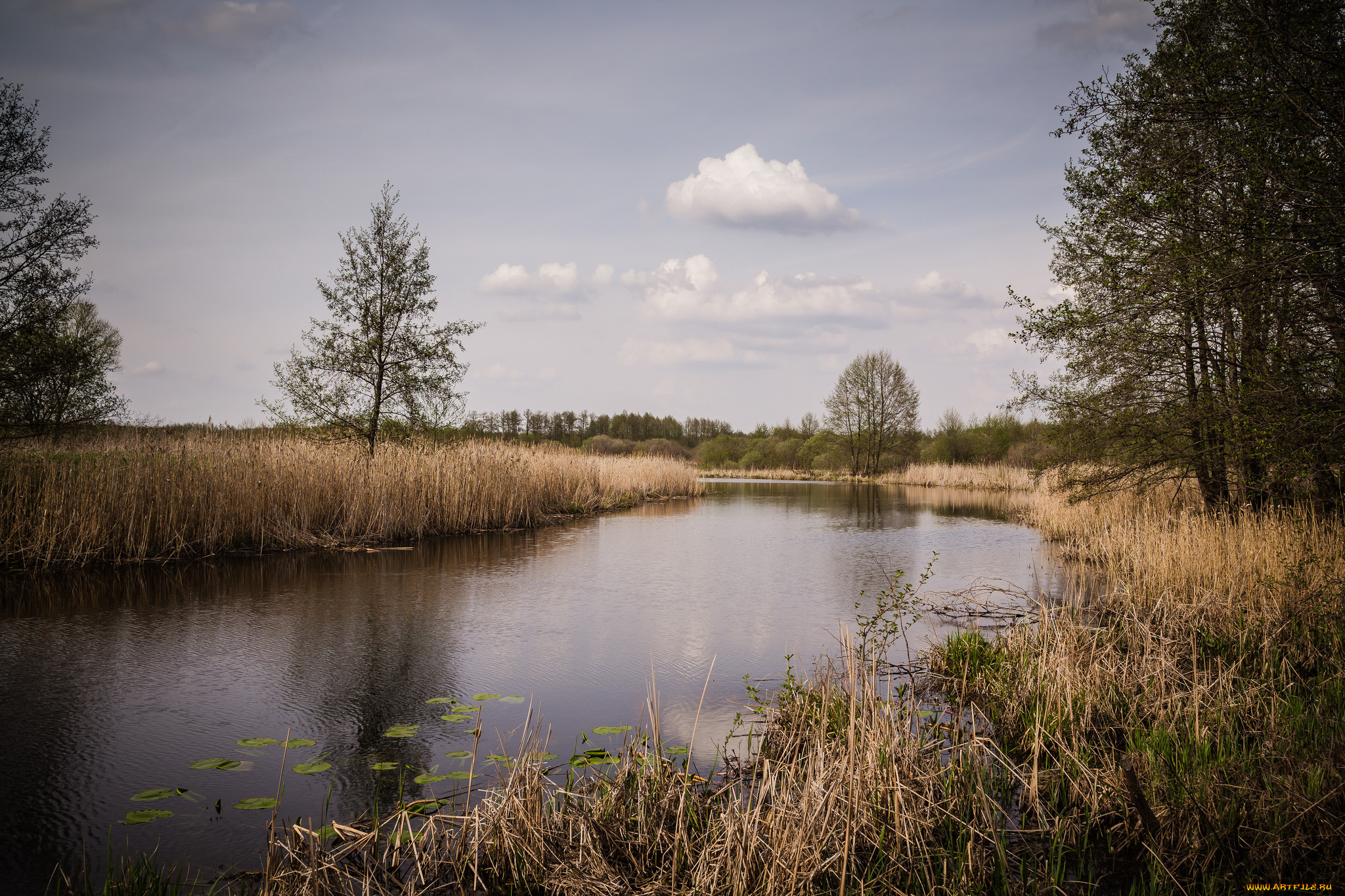 природа, реки, озера, река, лес