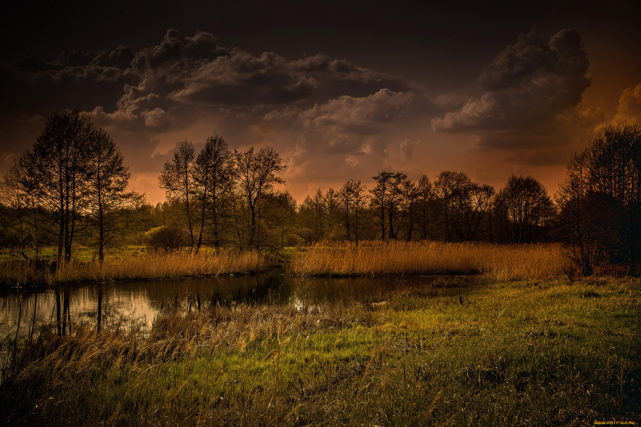 природа, реки, озера, река, лес