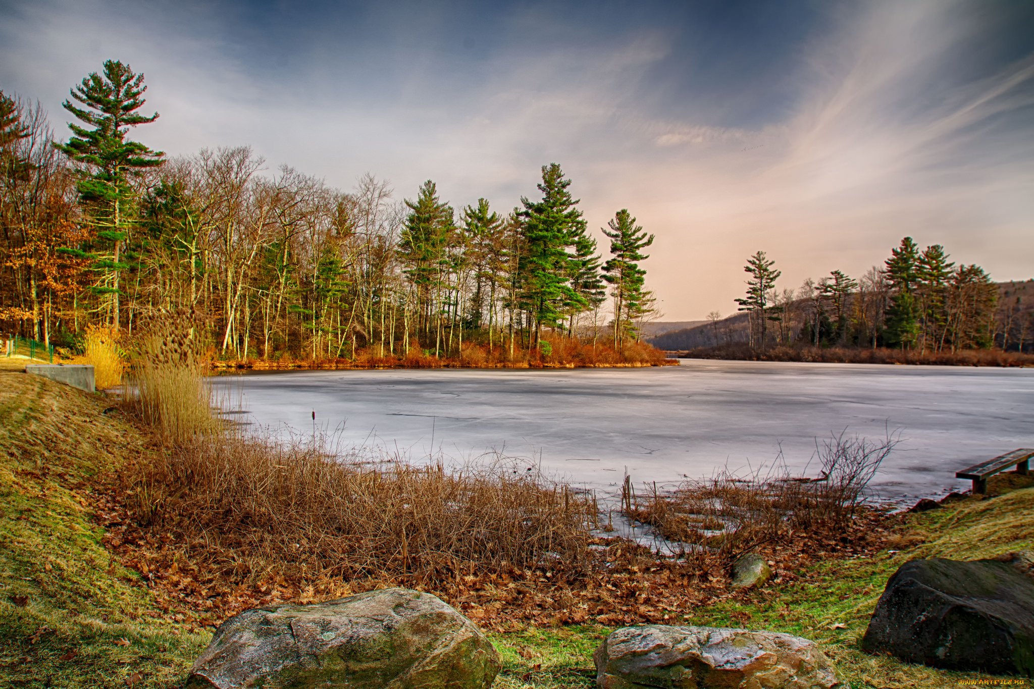 природа, реки, озера, река, лес