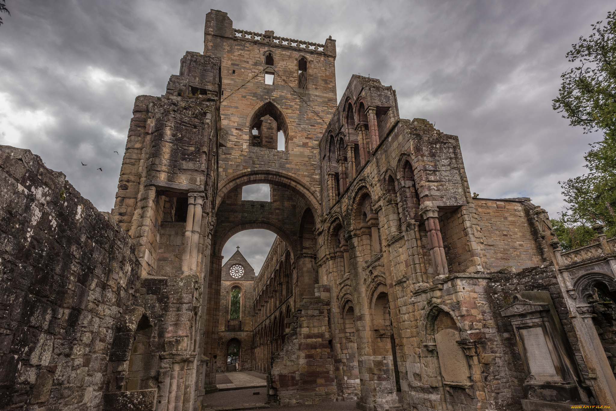 jedburgh, abbey, города, -, католические, соборы, , костелы, , аббатства, аббатство