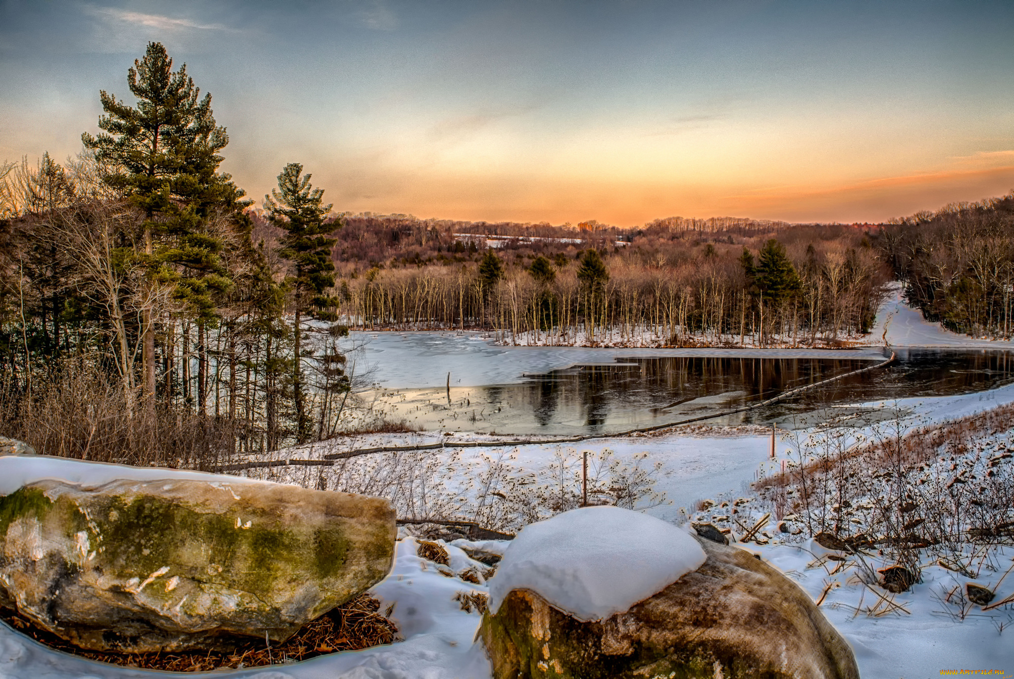 природа, реки, озера, лес, река