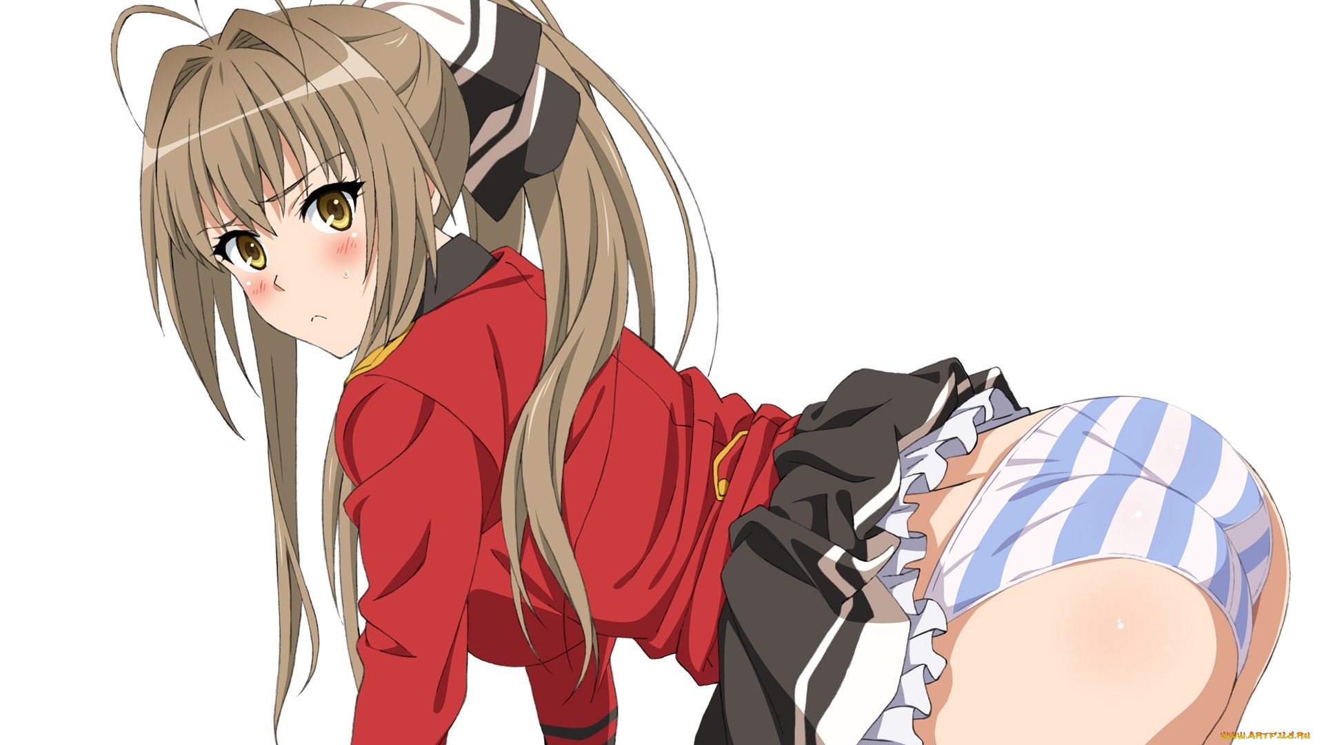 аниме, amagi, brilliant, park, девушка