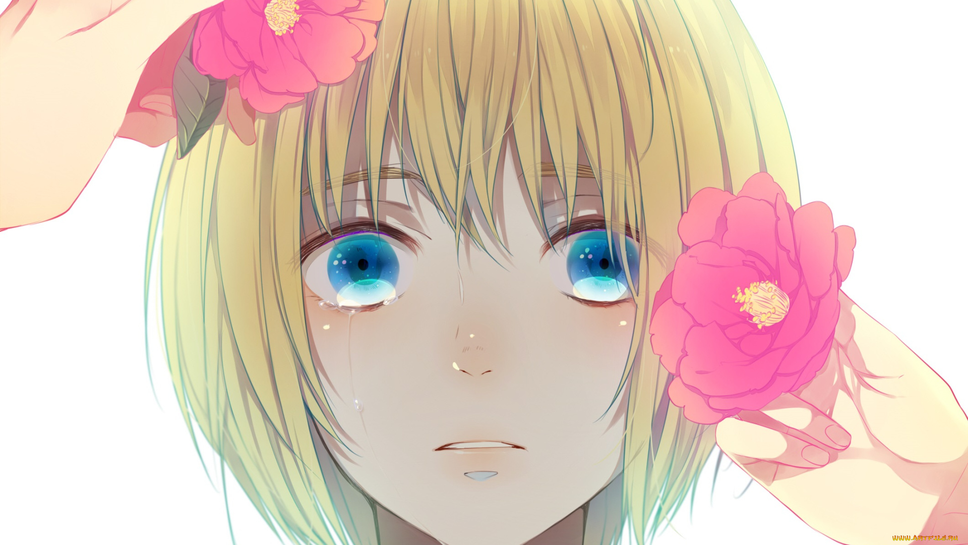 аниме, shingeki, no, kyojin, армин