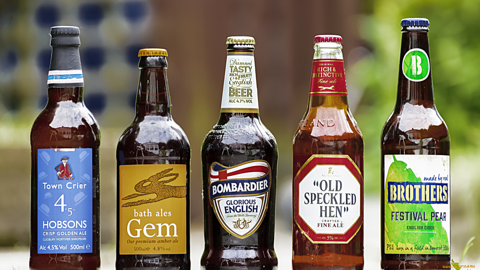 бренды, бренды, напитков, , разное, пиво