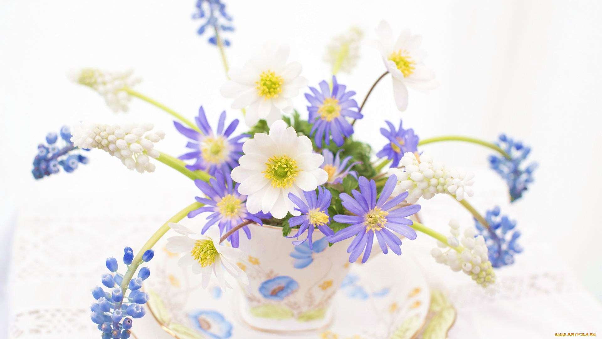 цветы, букеты, , композиции, анемоны, ветреница, блюдце, чашка, мышиный, гиацинт, гадючий, лук, мускари, букетик