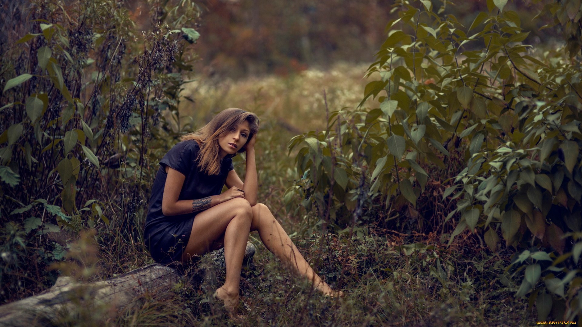 девушка, в, лесу, девушки, -unsort, , брюнетки, , шатенки, девушка, лес