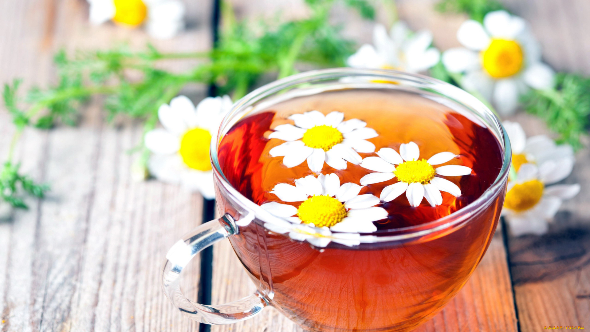 еда, напитки, , Чай, чашка, чай, ромашки