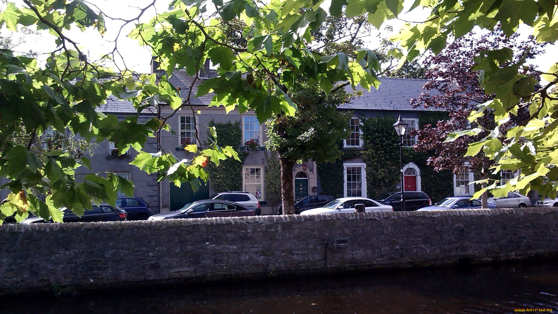 города, -, улицы, , площади, , набережные, деревья, набережная