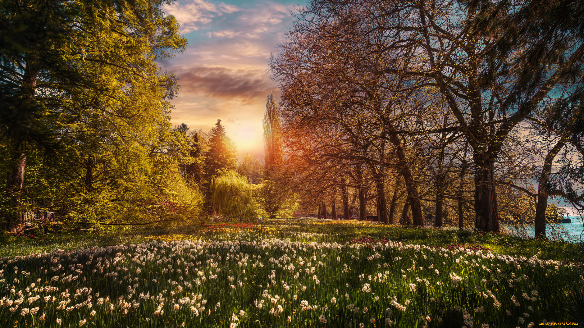 природа, луга, простор