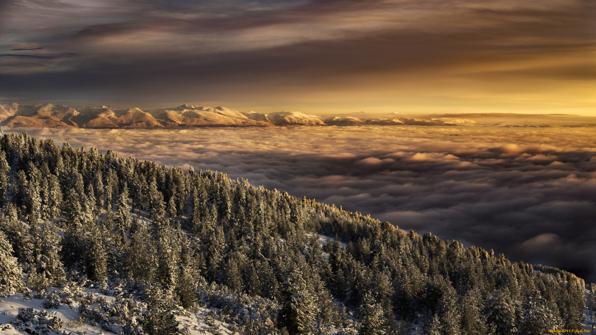 природа, пейзажи, простор