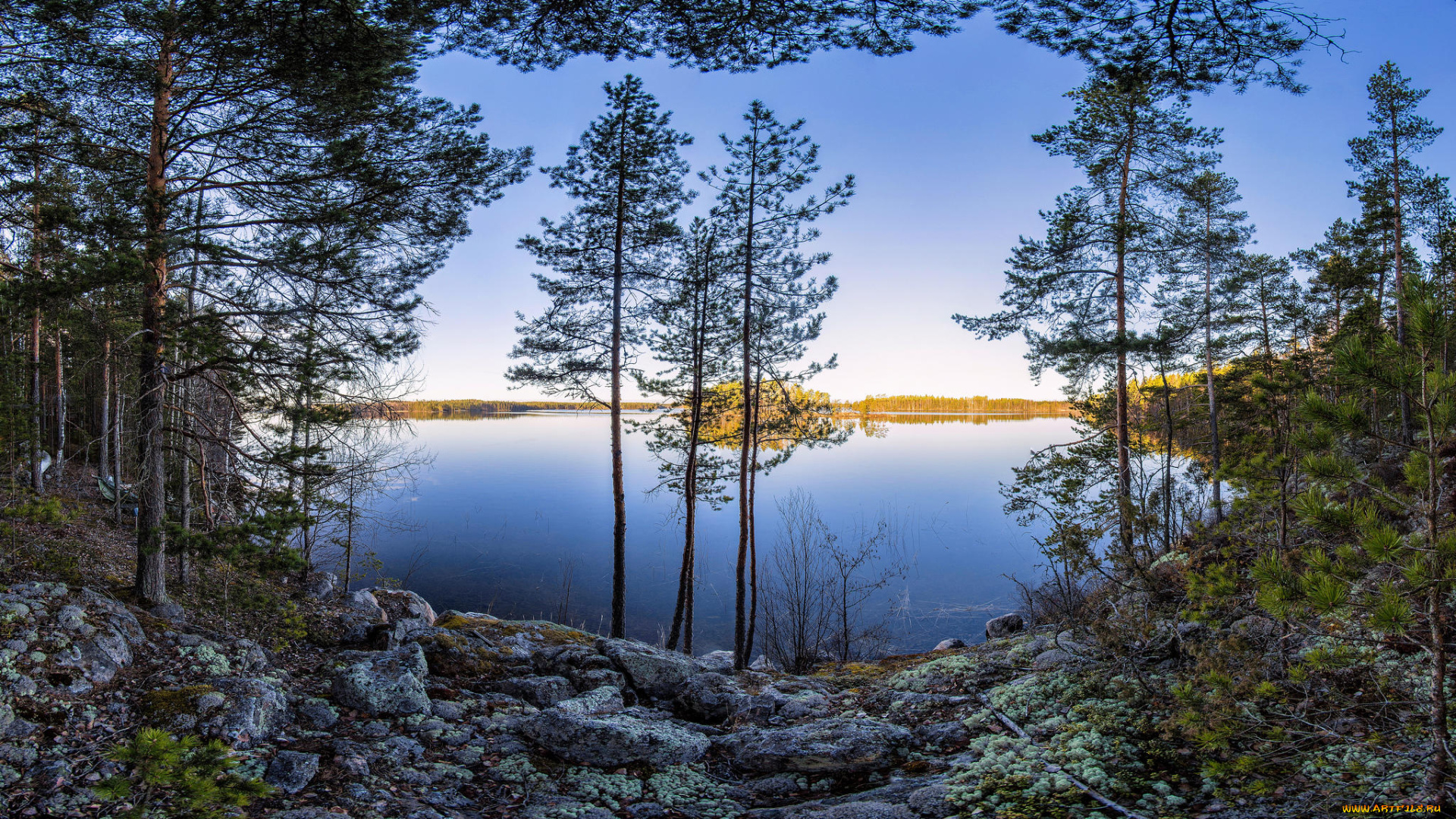 природа, реки, озера, пейзаж, закат, деревья, озеро, весна