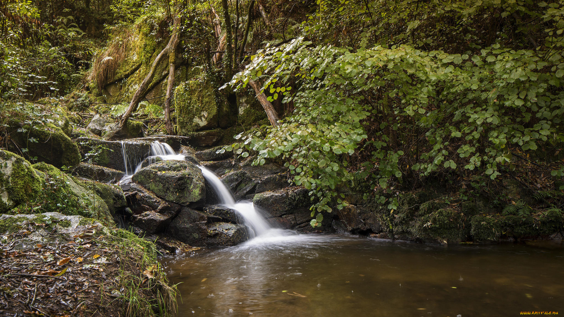 природа, реки, озера, водопад, деревья, лес