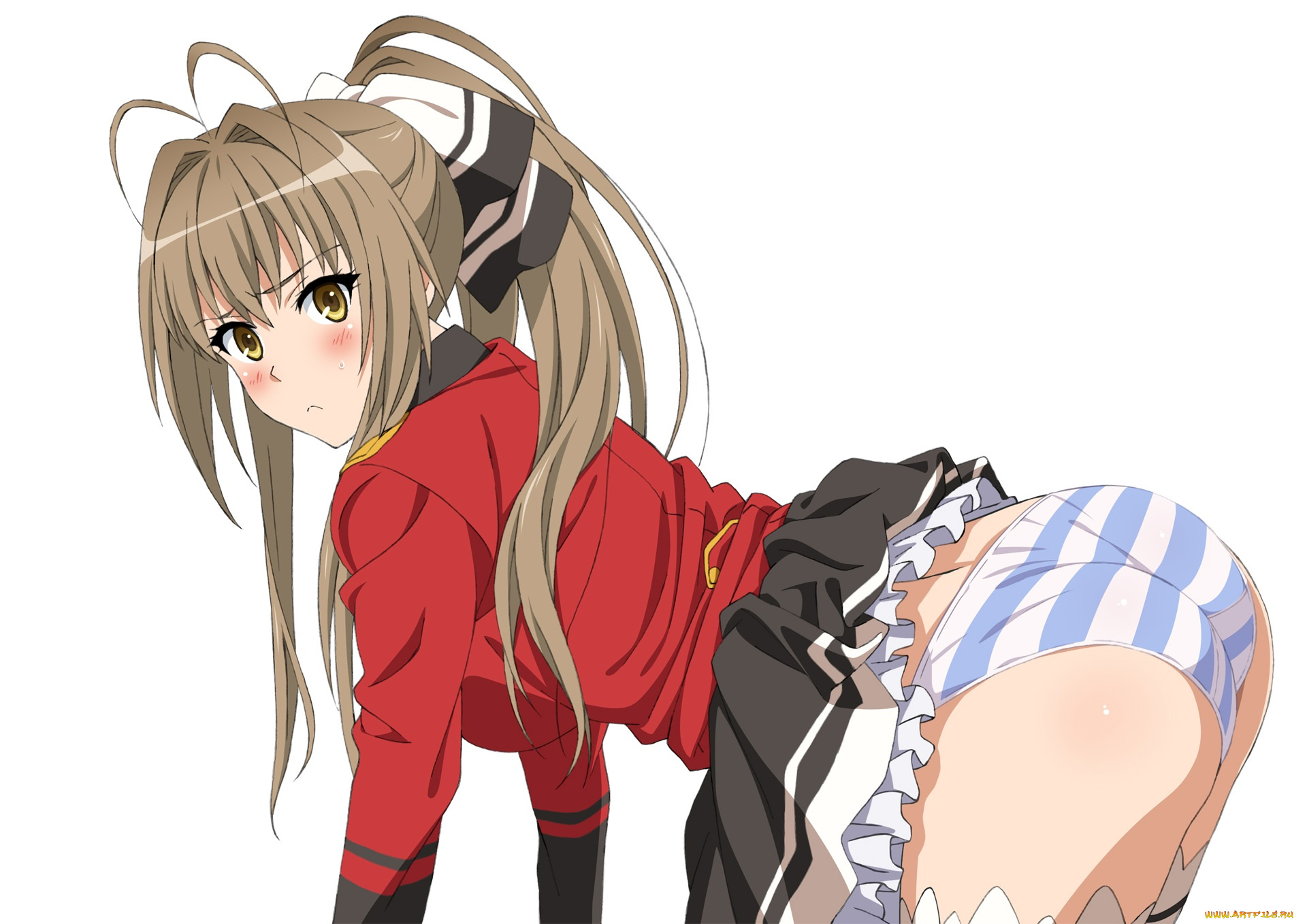 аниме, amagi, brilliant, park, девушка