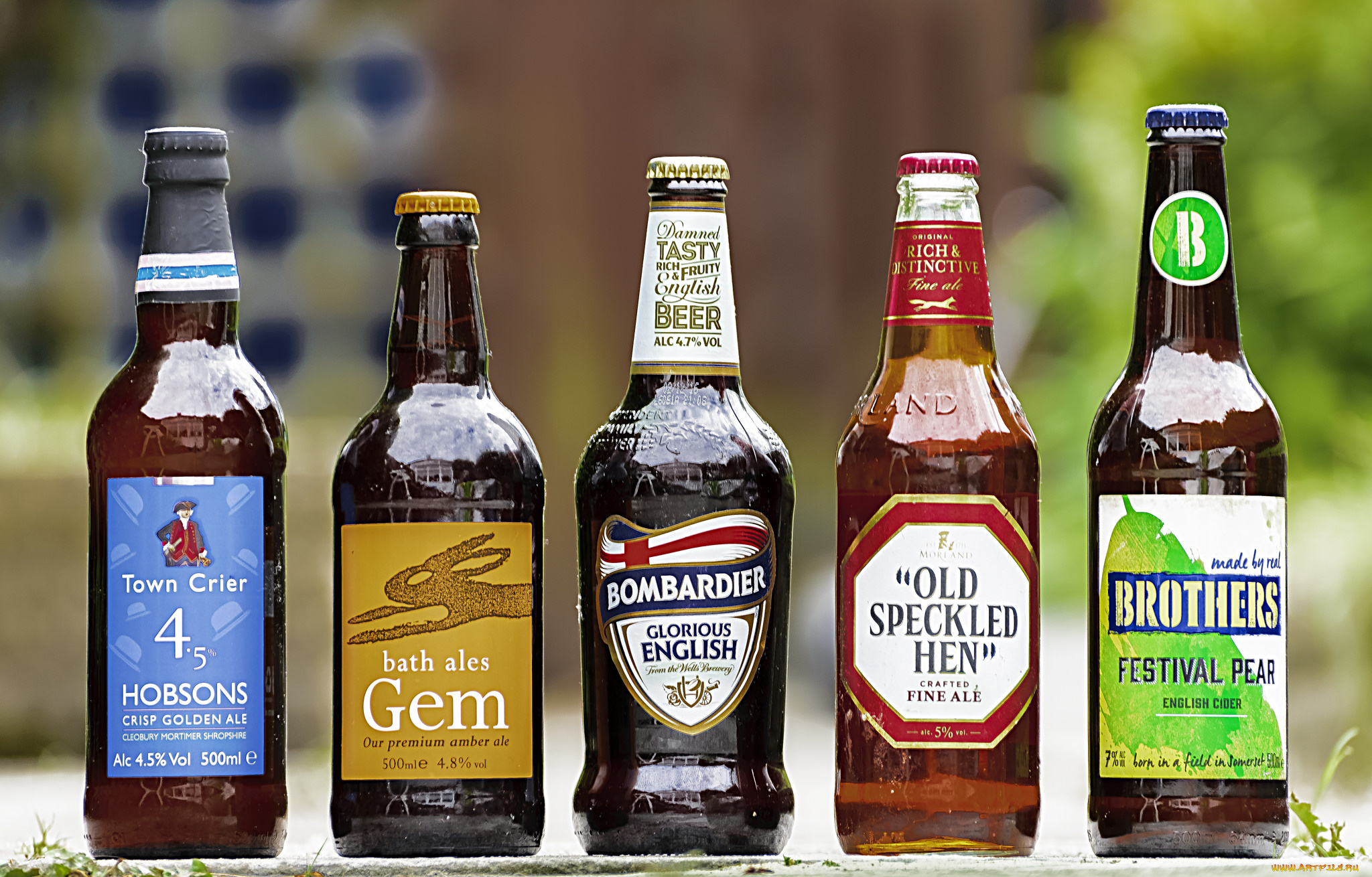 бренды, бренды, напитков, , разное, пиво