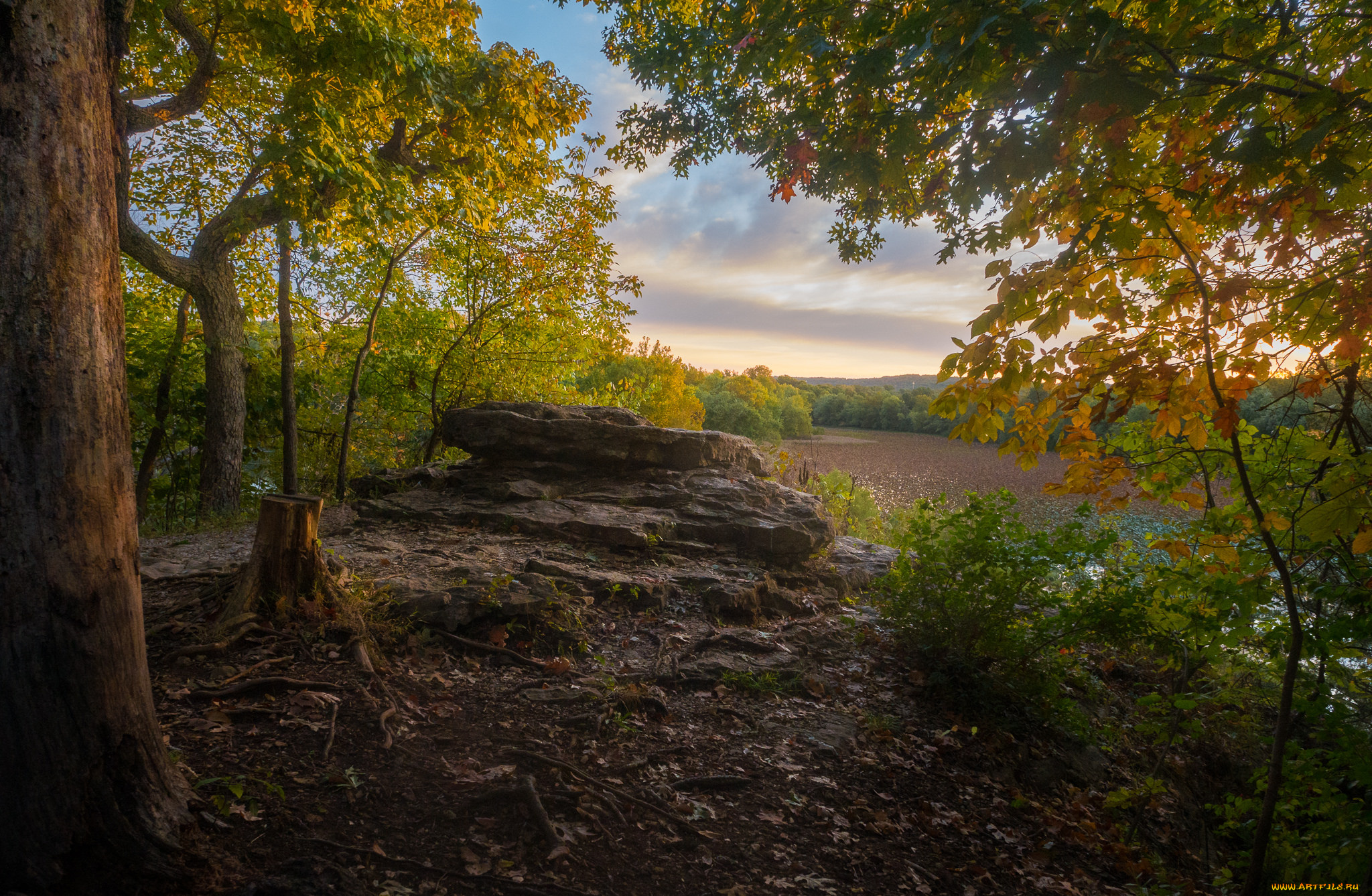 природа, реки, озера, река, лес