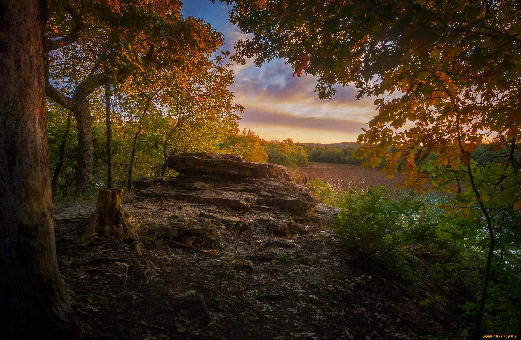 природа, реки, озера, река, лес