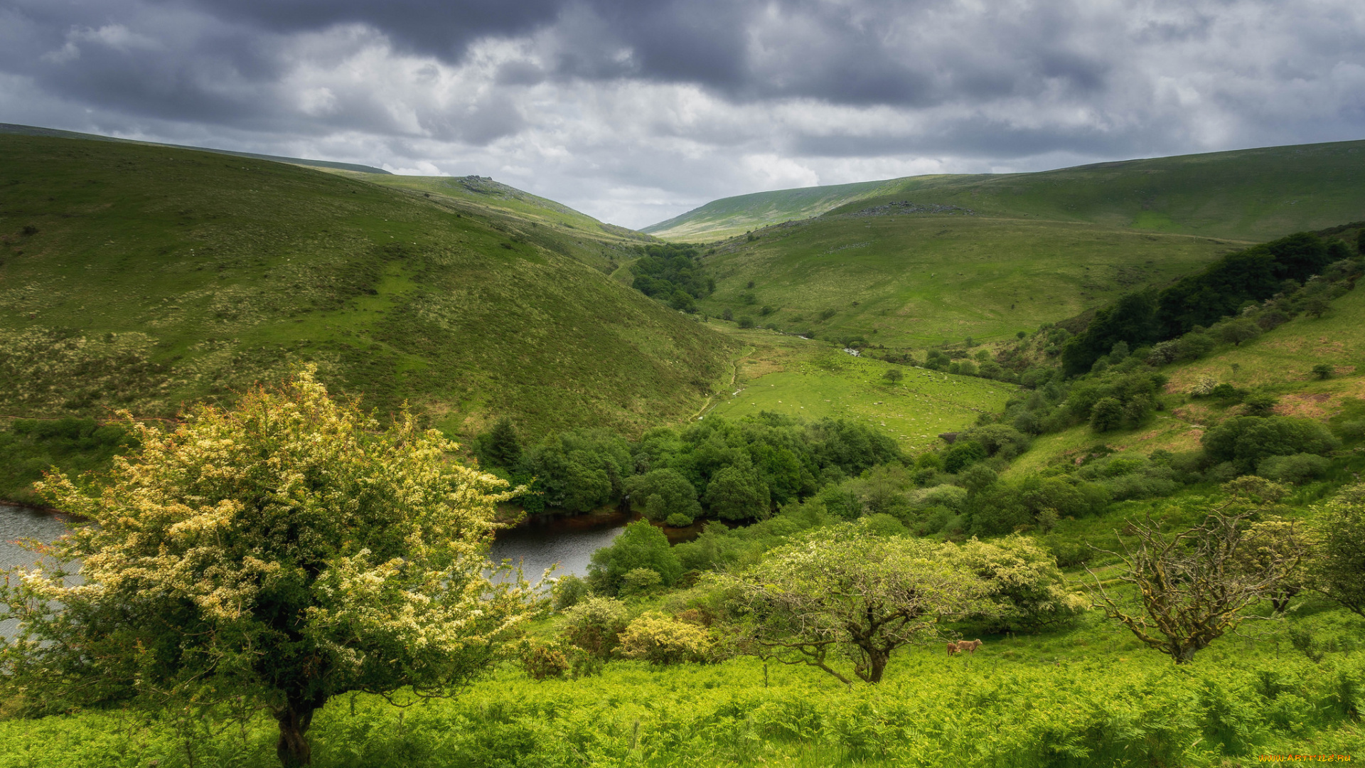 природа, пейзажи, простор