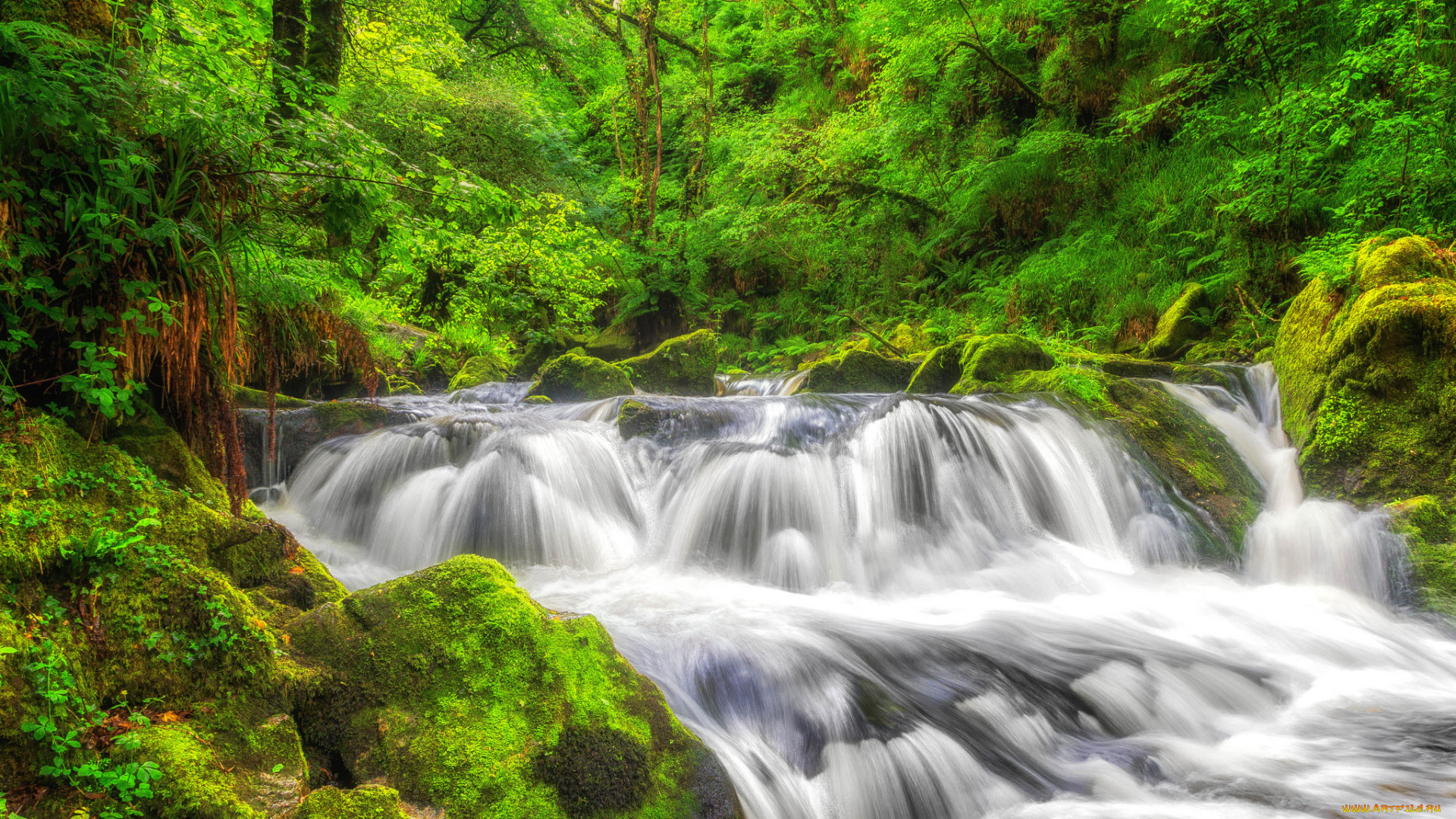 природа, реки, озера, простор