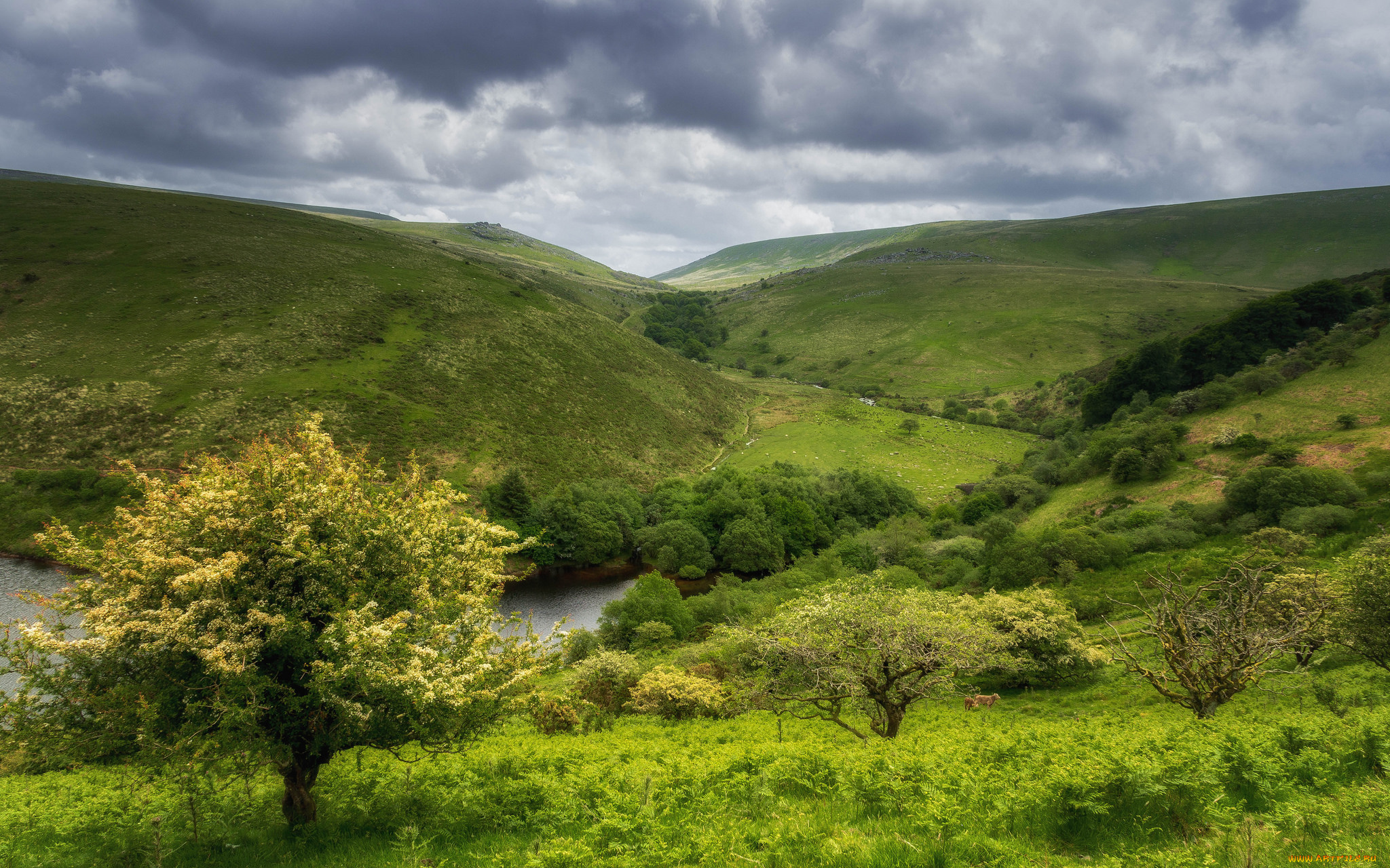 природа, пейзажи, простор