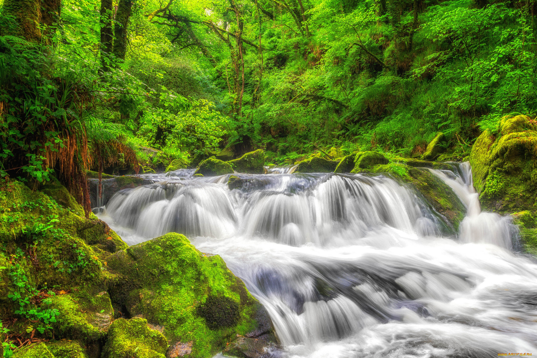 природа, реки, озера, простор