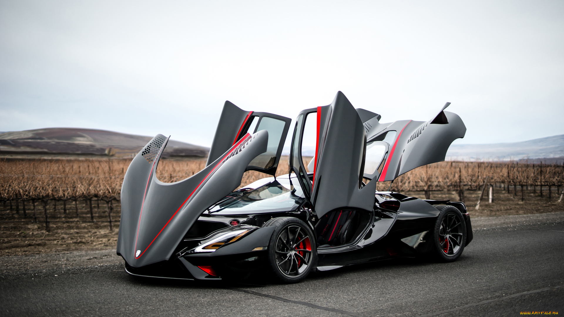 автомобили, ac, cobra, shelby, ssc