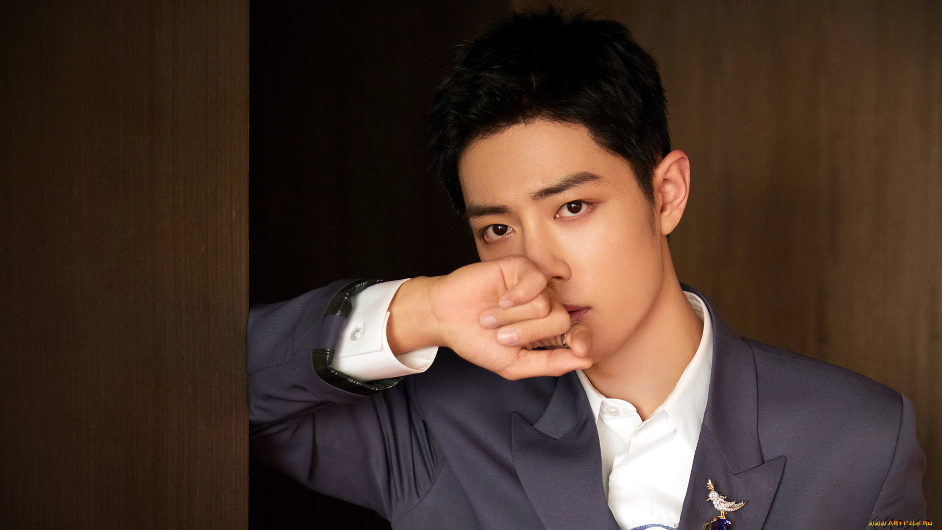 мужчины, xiao, zhan, актер, пиджак, брошь