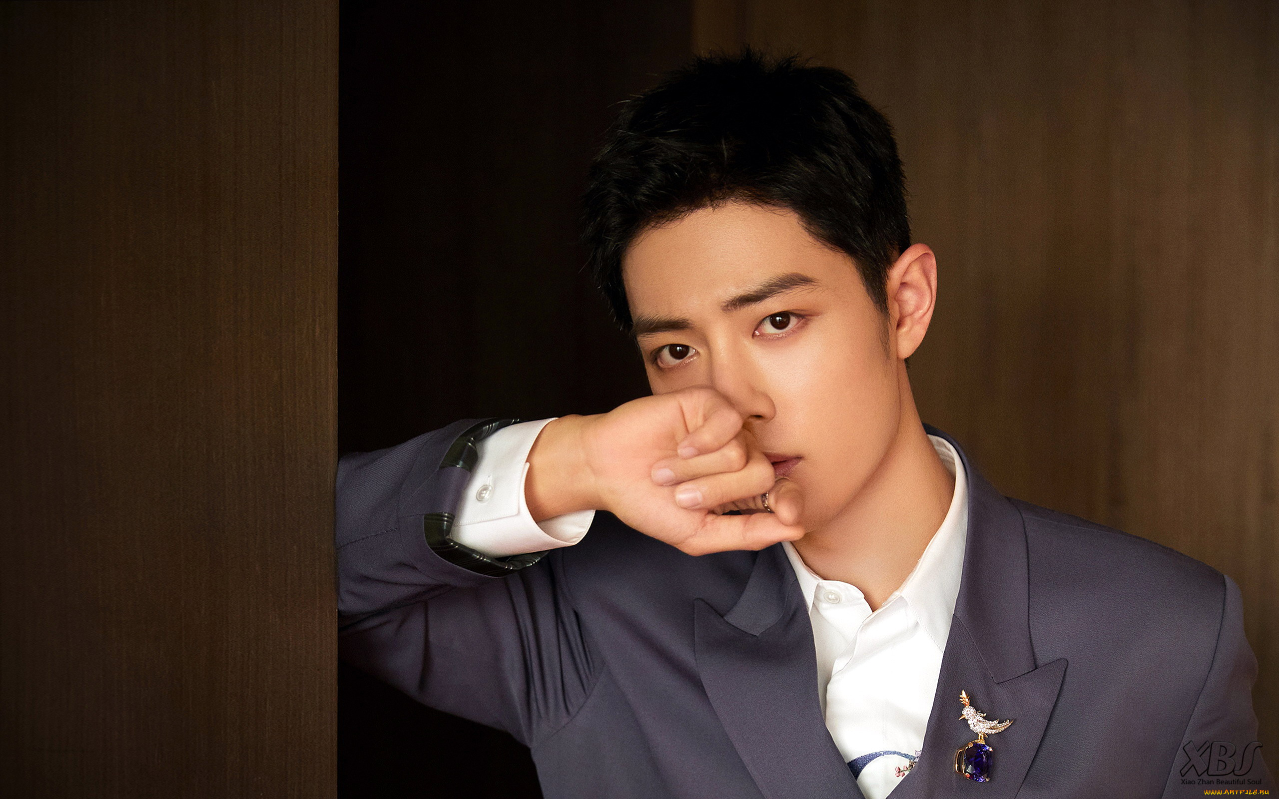 мужчины, xiao, zhan, актер, пиджак, брошь