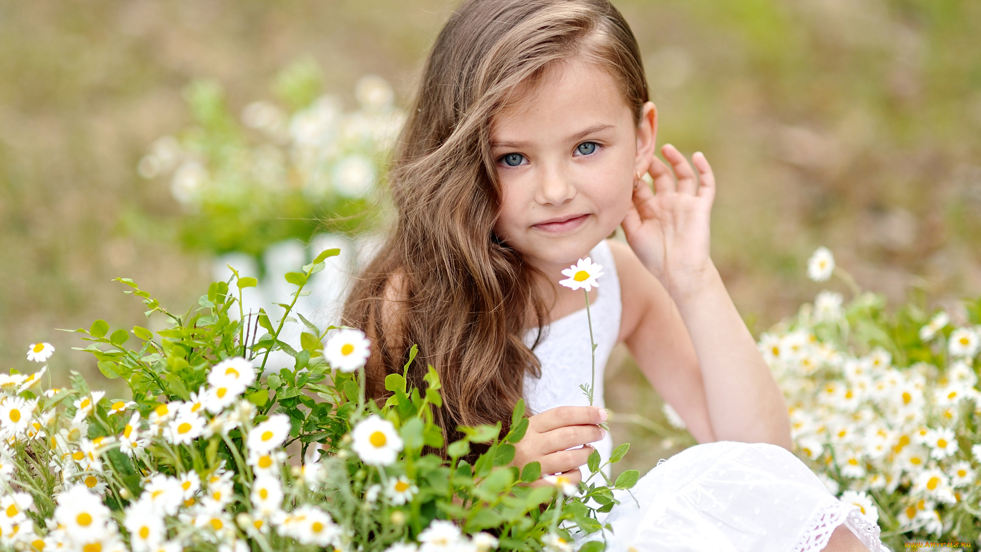 разное, дети, девочка, луг, ромашки
