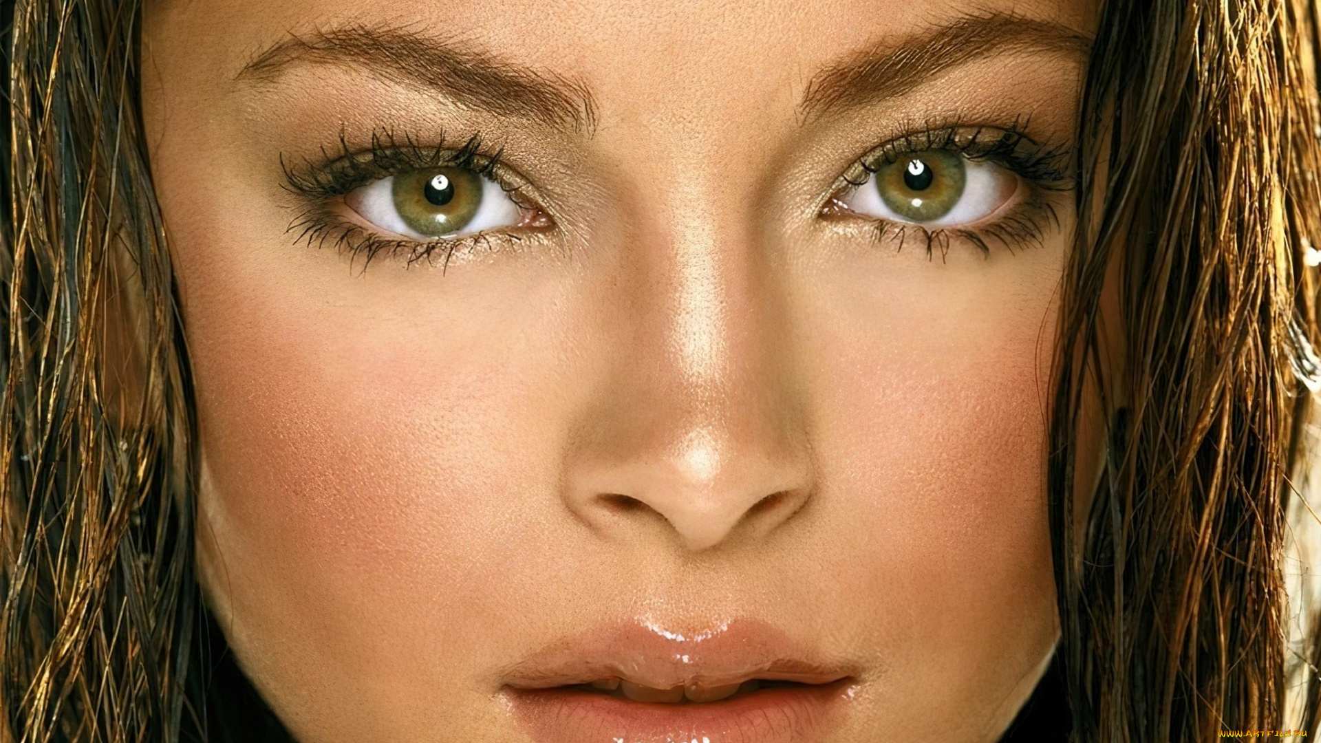 девушки, kristin, kreuk, актриса, шатенка, лицо