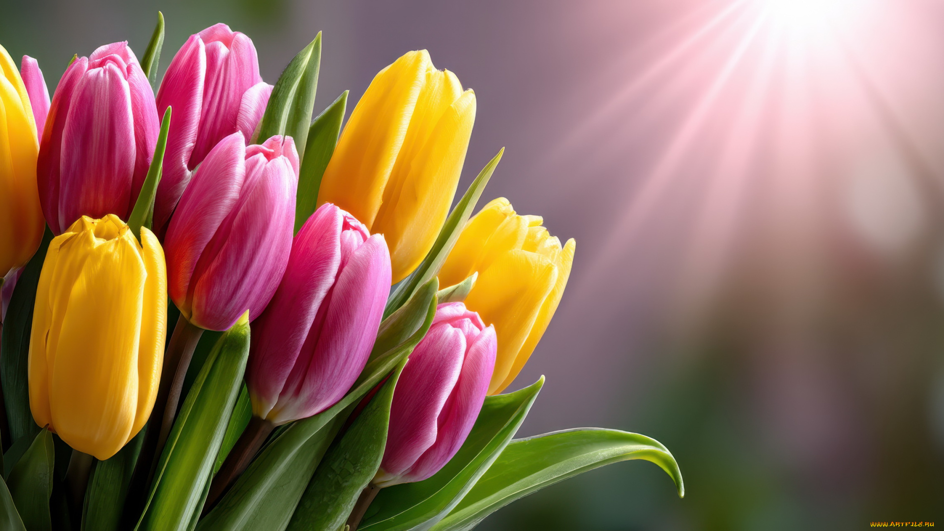 3д, графика, цветы, , flowers, тюльпаны