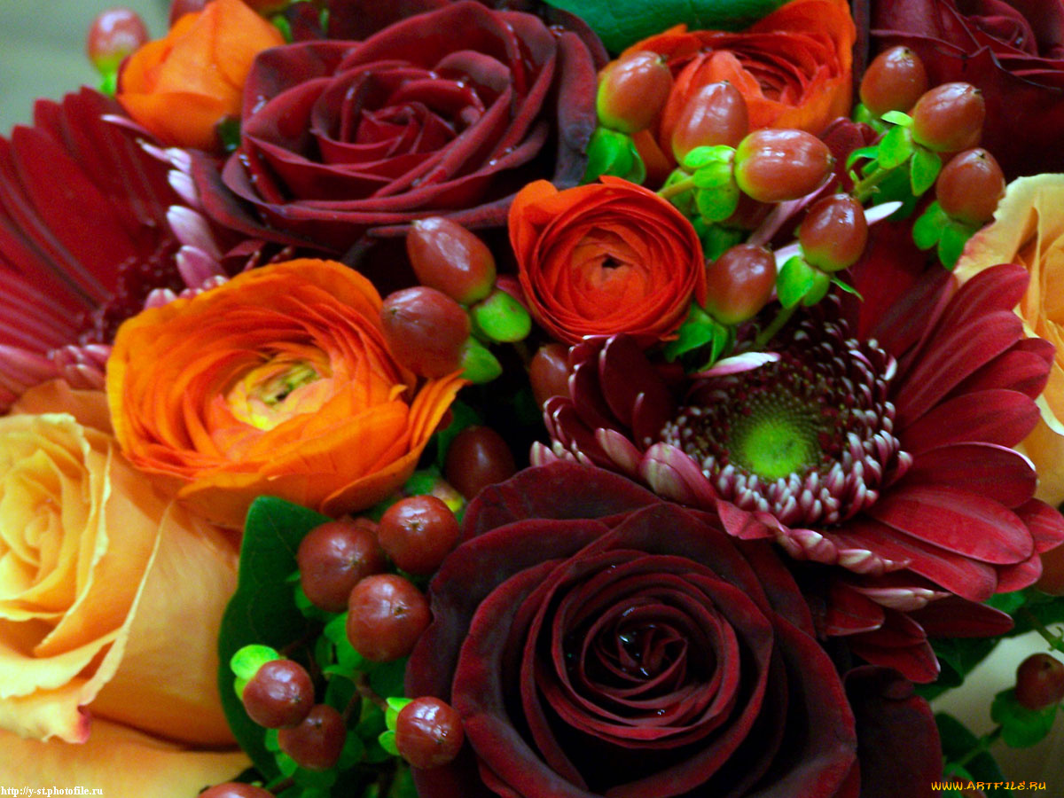 цветочки, цветы, разные, вместе