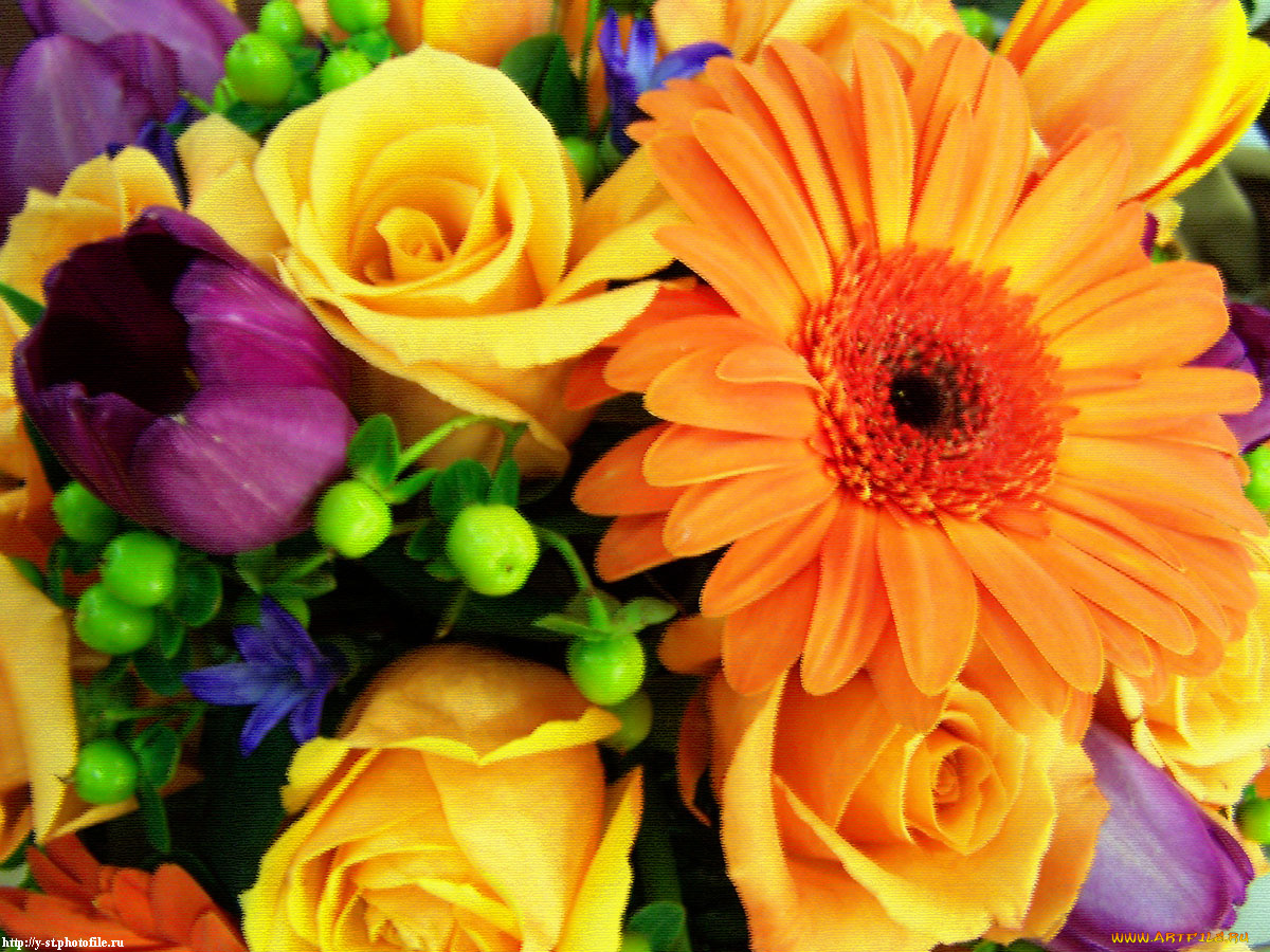 цветочки, цветы, разные, вместе