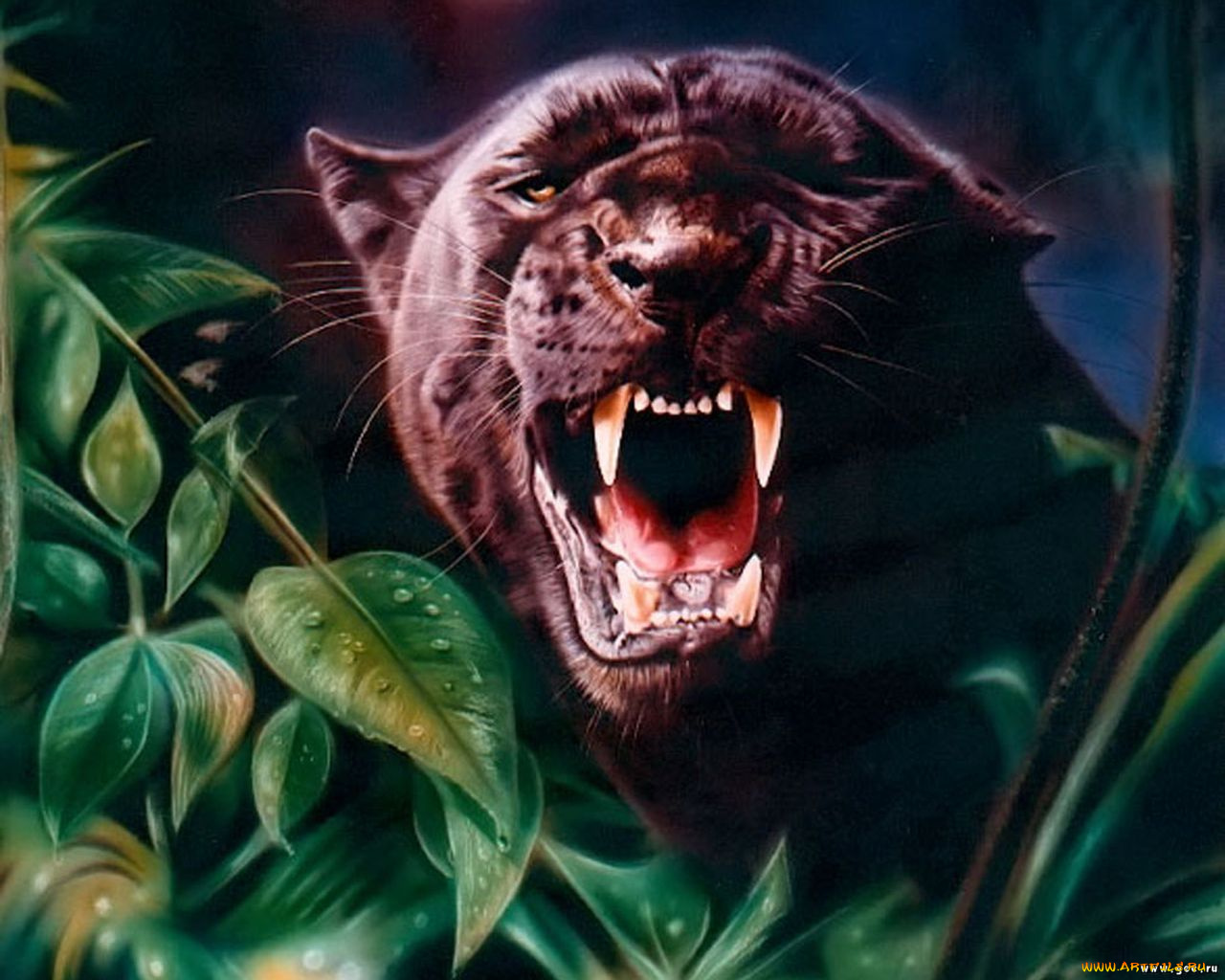 рисованные, животные, пантеры