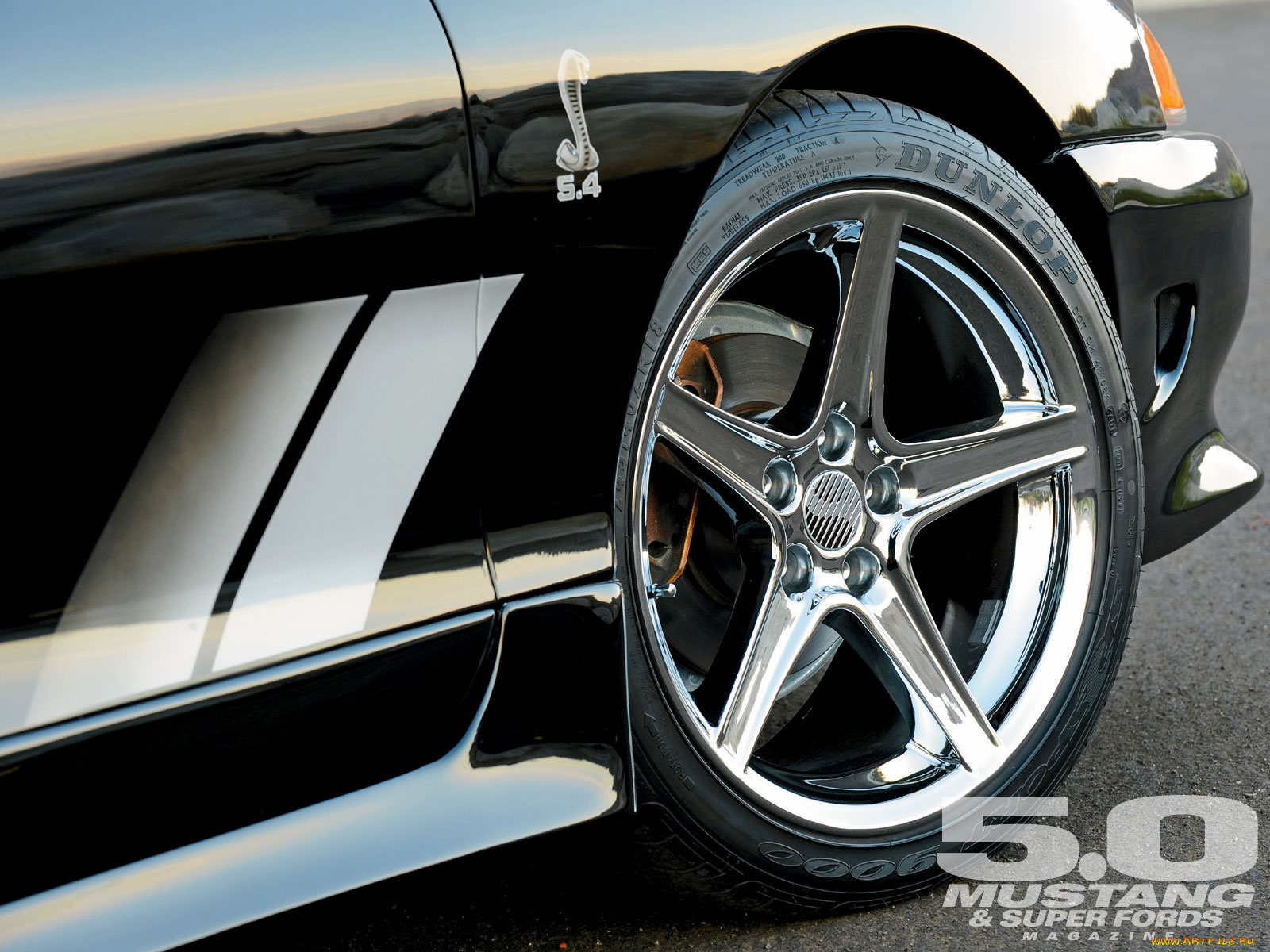 1996, saleen, mustang, автомобили, диски