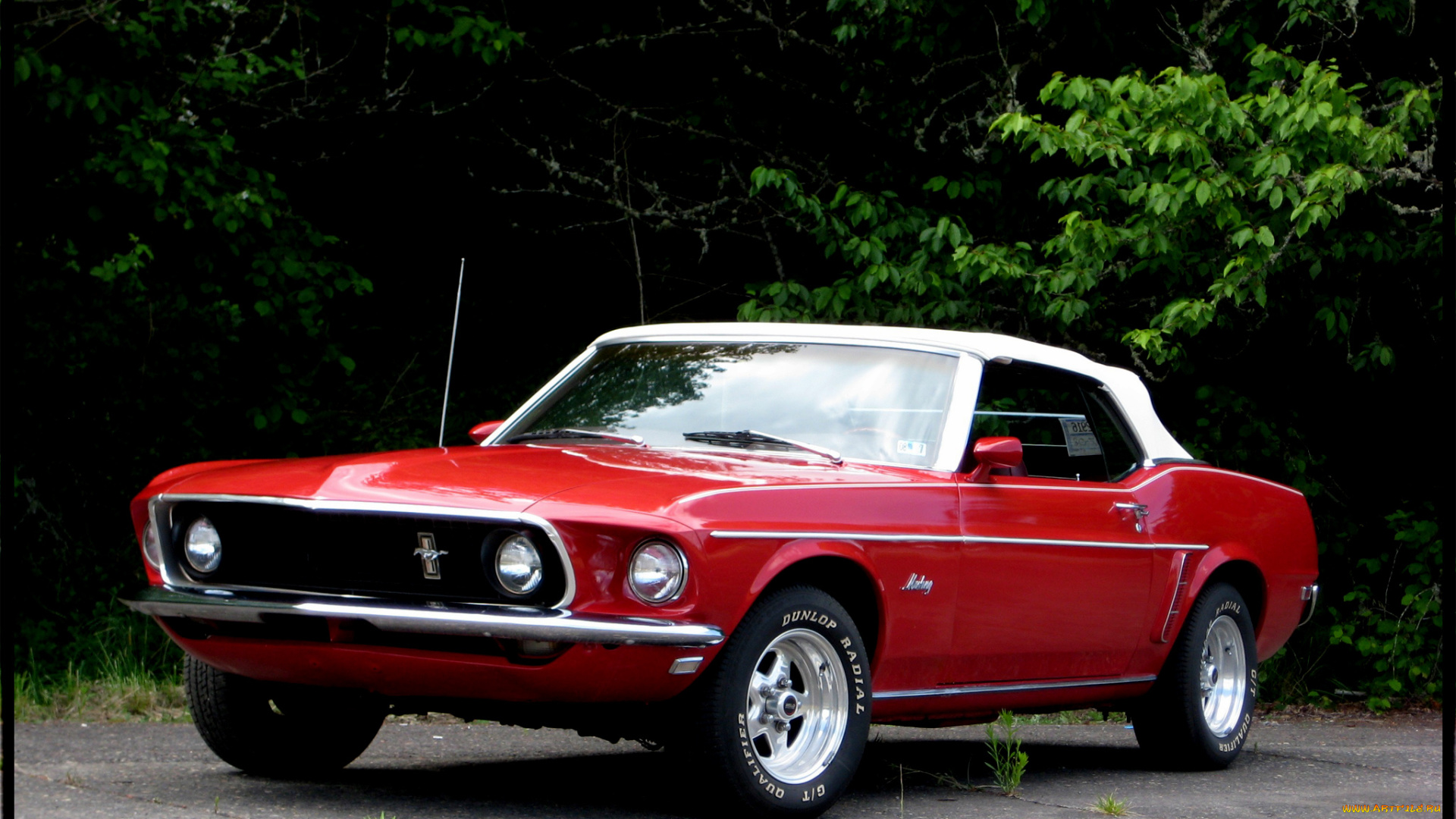 автомобили, mustang