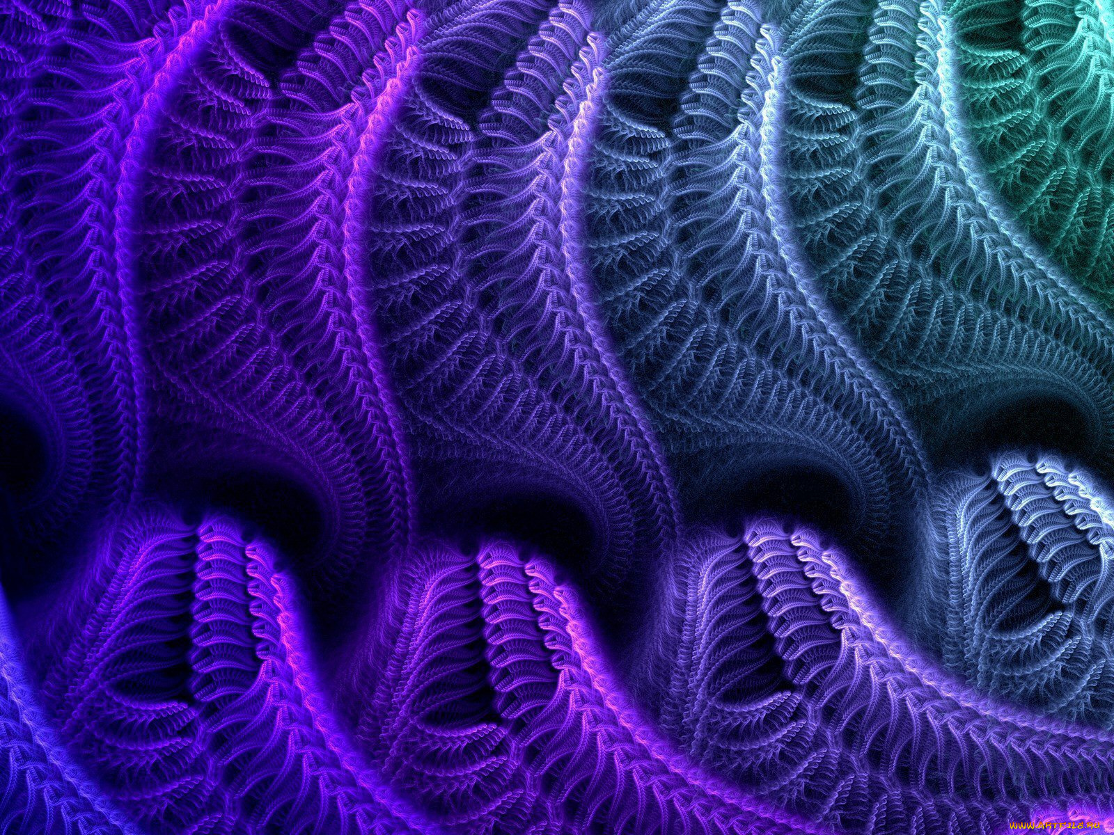 3д, графика, fractal, фракталы, фон, цвета, узор