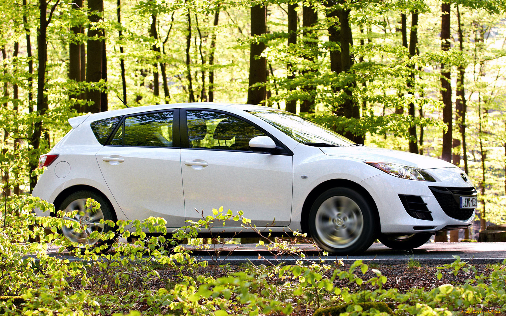 автомобили, mazda, листва