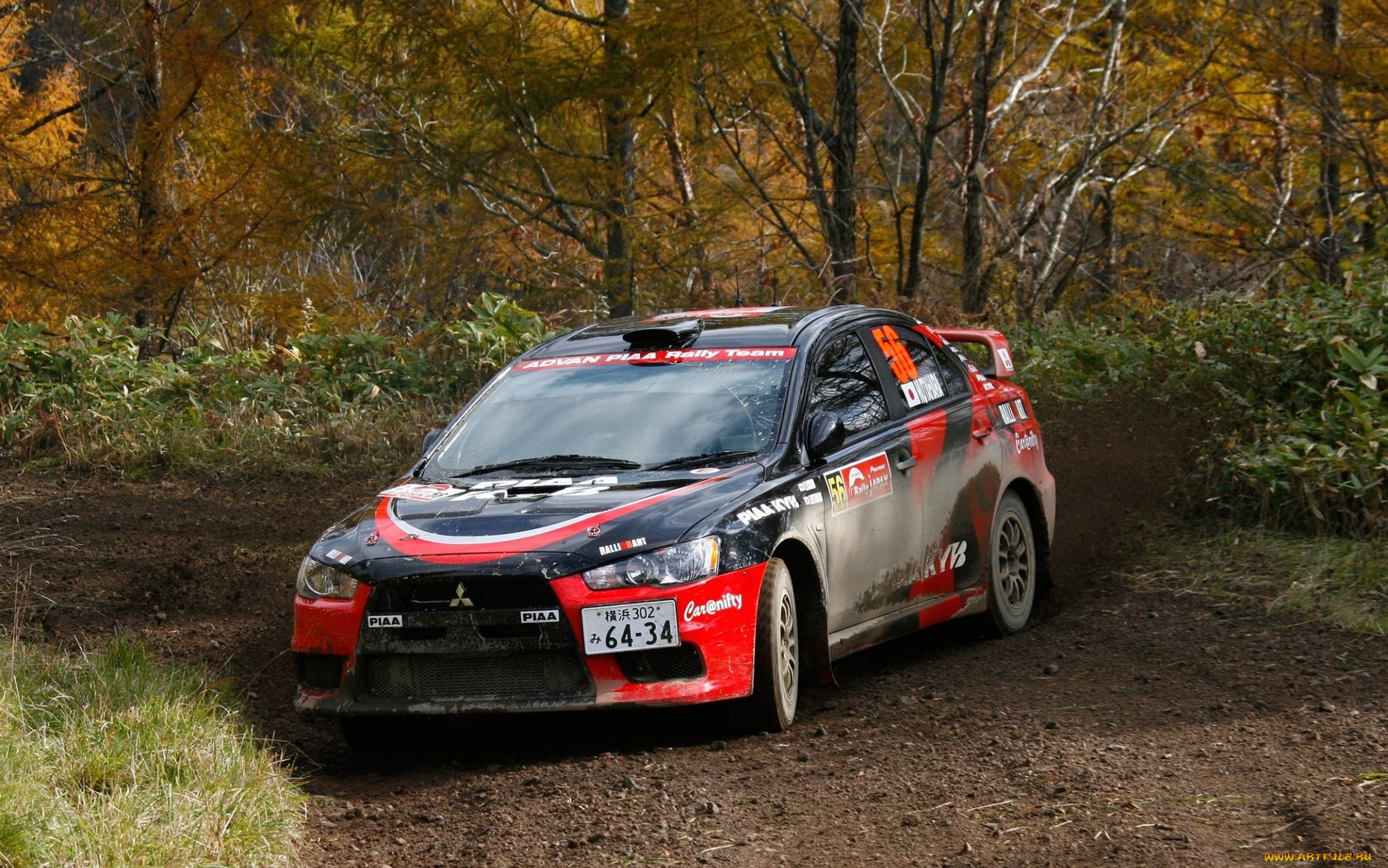 спорт, авторалли, гонка