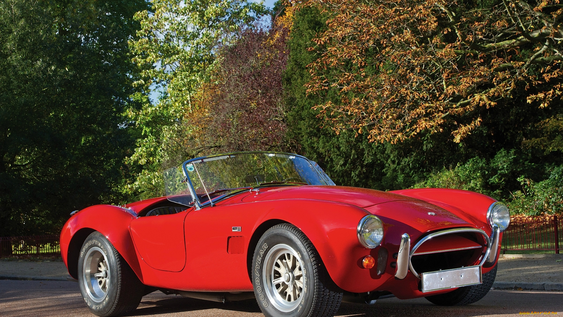 автомобили, ac, cobra, shelby